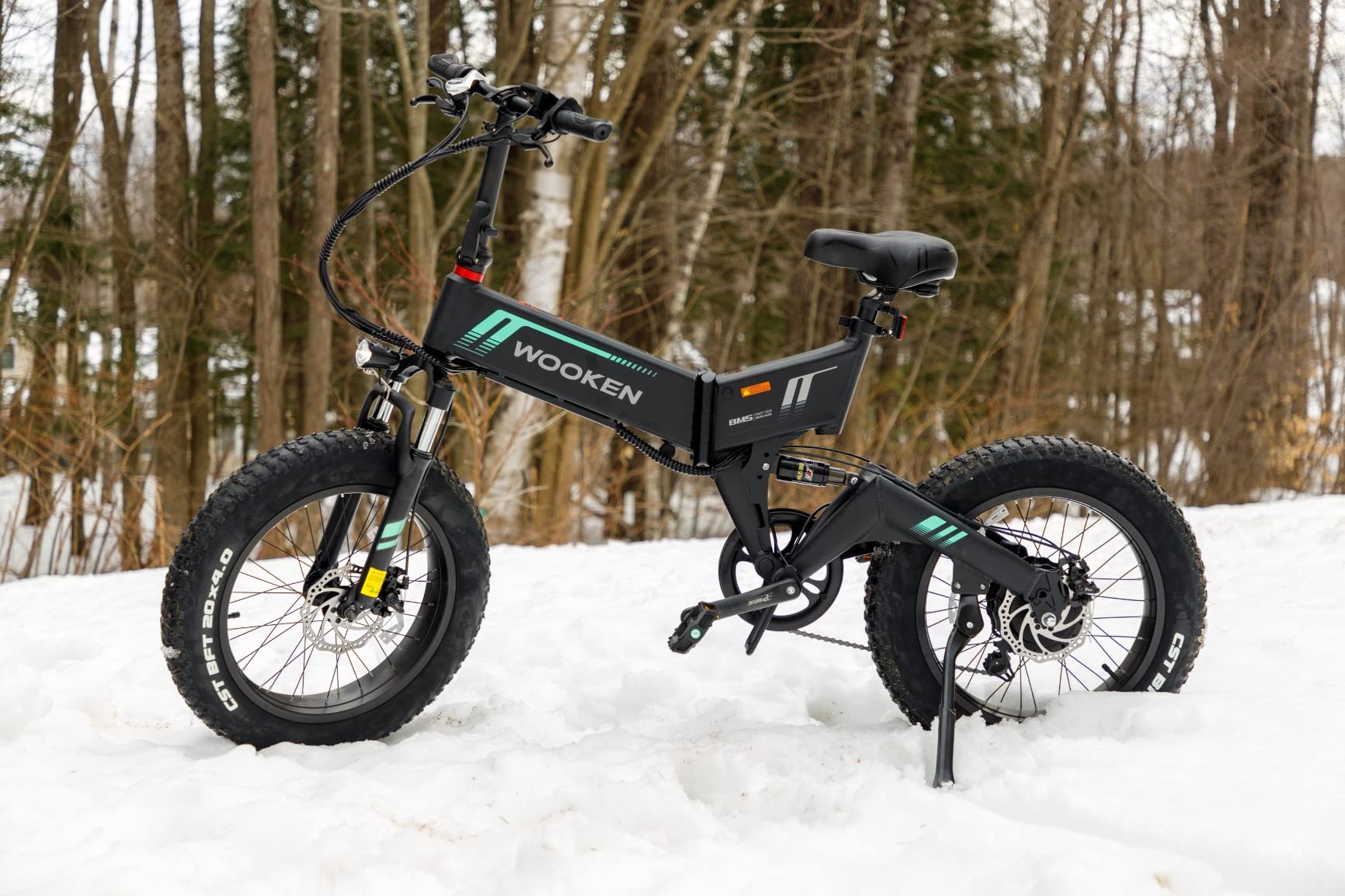 Wooken Electric Bike, 20''X4.0 Fat Tire Electric Bike for Adults customer photo 1