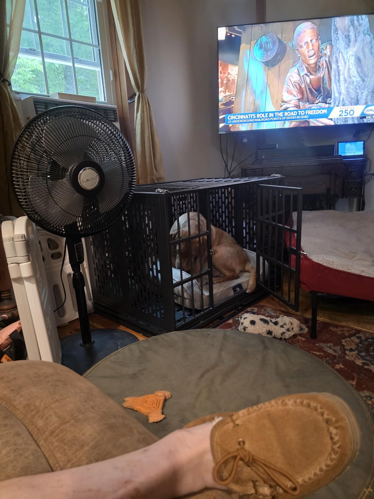 Snuowu 38 Inch Heavy Duty Dog Crate with Wheels, Folding Metal Big Dog Cage for Large and Medium Dogs, Extra Large XL XXL Indestructible Dog Crate with Removable Tray. customer photo 2