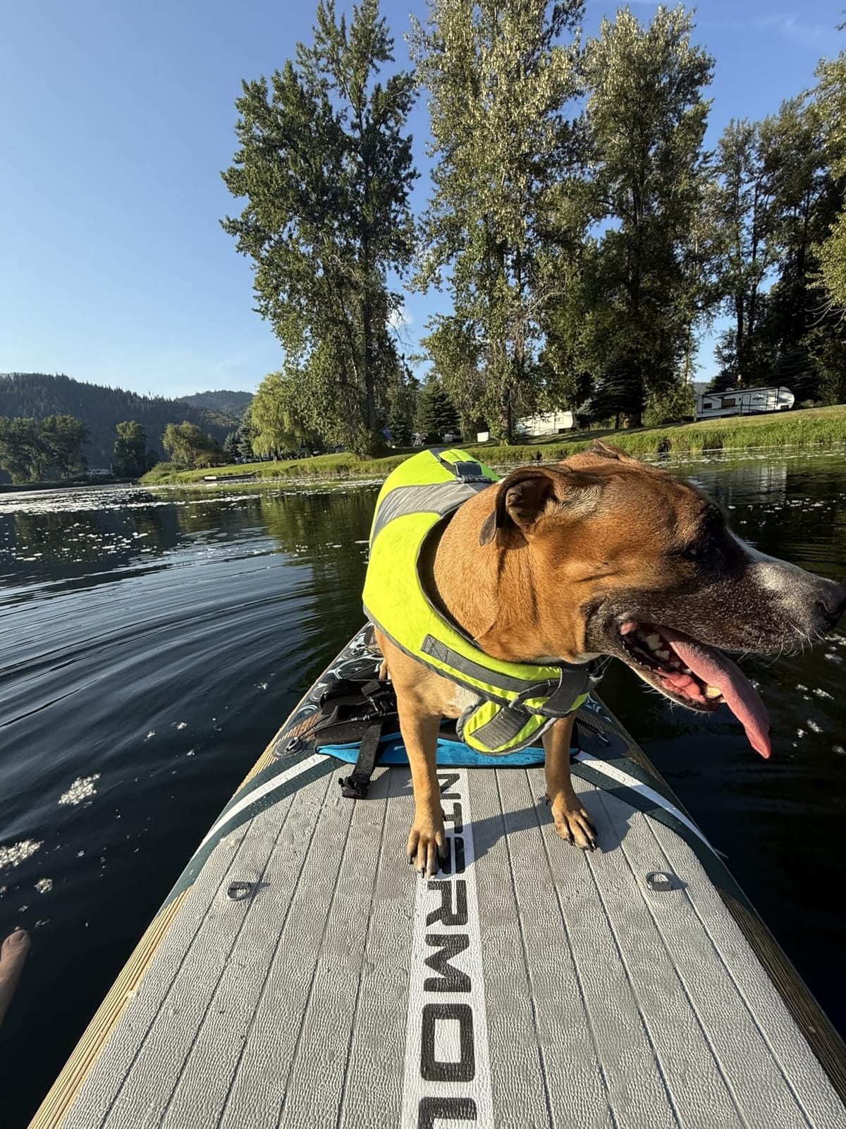 11'x34 Ultra Wide Inflatable Paddle Board, Stand Up Paddle Board &420lb Capacity for All Skill, Paddle Board for Yoga/Family, EVA Deck, US Fin, 100L Bag, High-Pressure Pump, Safety Leash customer photo 2