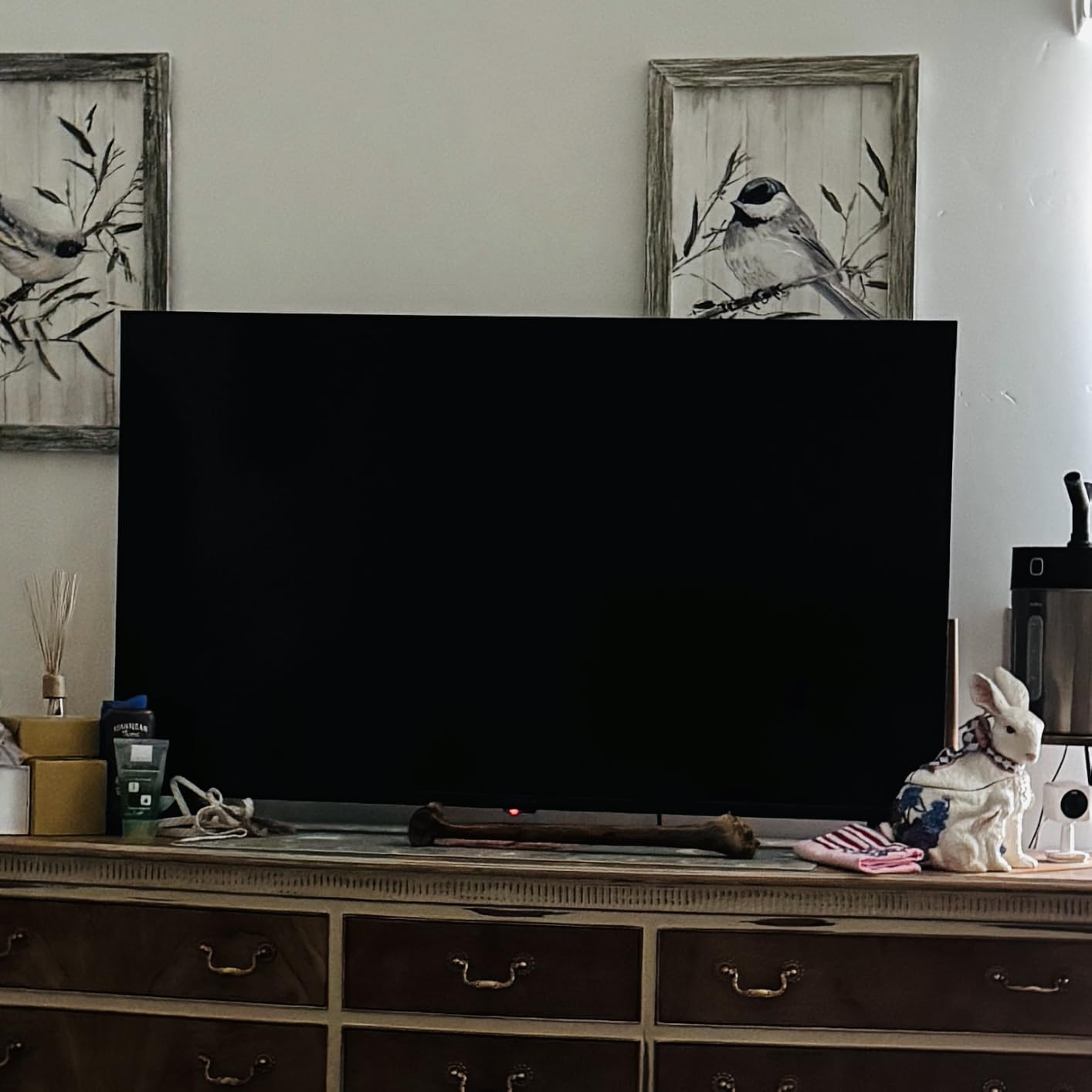 Insignia F50 Fire TV customer photo 1