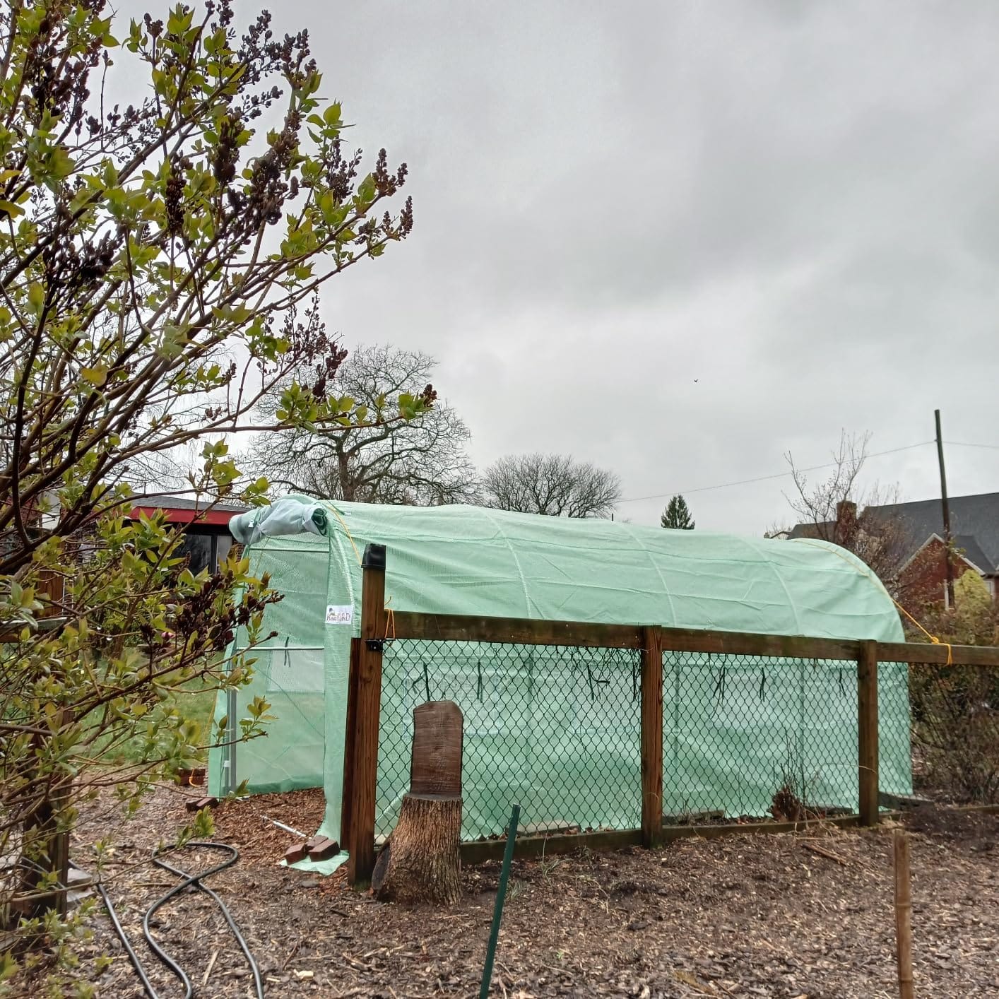 KING BIRD Premium 20x10x6.6FT Greenhouse for Outdoors Large Walk-in House customer photo 2