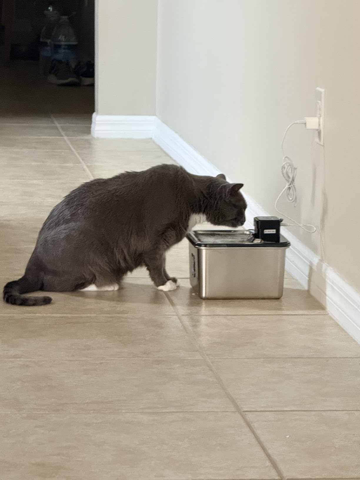 Cordless Cat Water Fountain : [Visual Filter] & [Heavy-Duty Stainless Steel] 3.2L/108oz, FEELNEEDY- Premium, Durable Design, 4000mAh Battery Operated Pet Fountain with Sensor, FN-W17 for Cats and Dogs customer photo 1