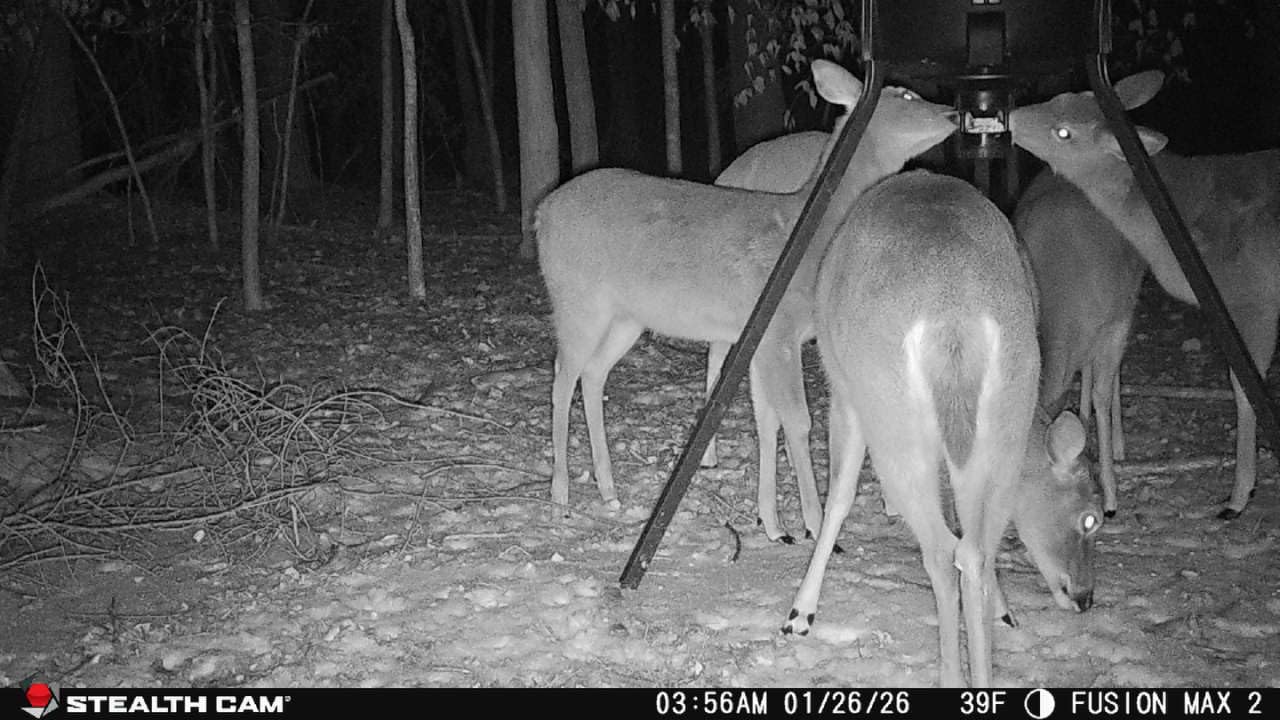 Moultrie 200 Lb Tripod Deer Feeder - Bluetooth App Control customer photo 1