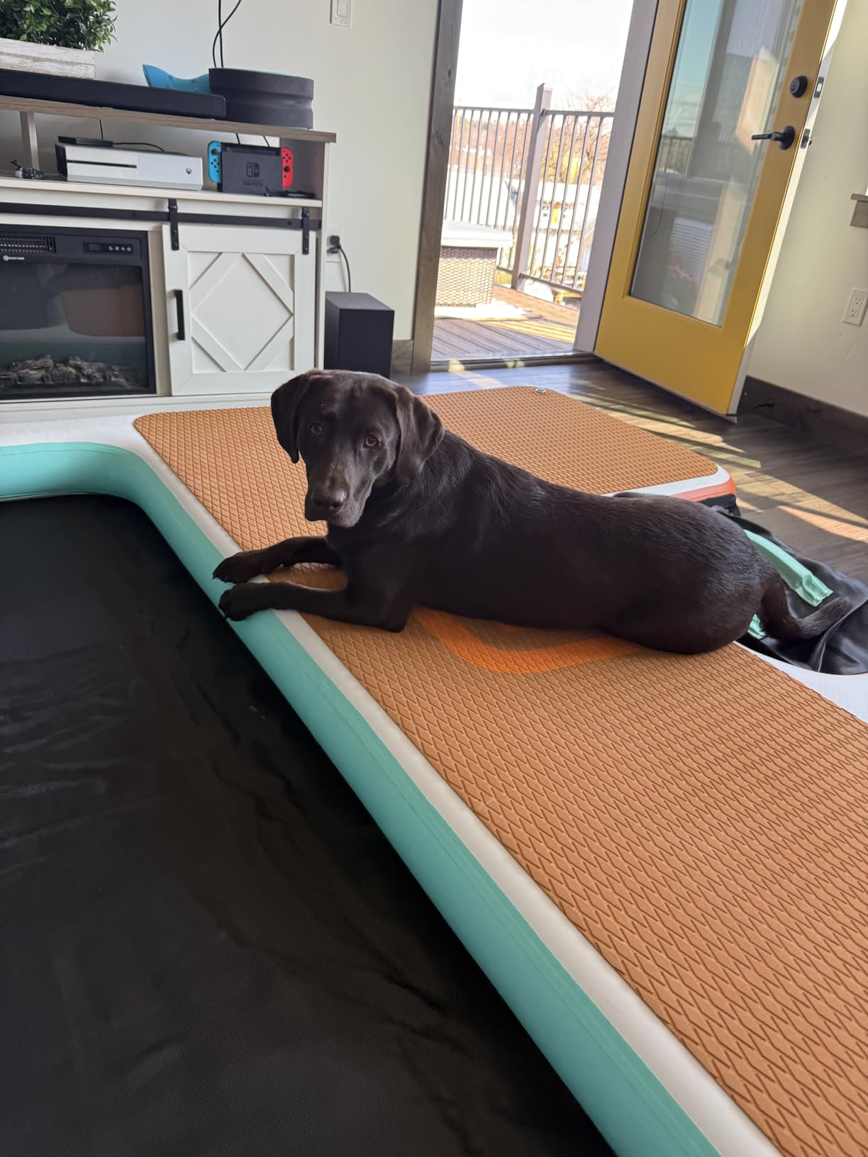 FBSPORT Inflatable Floating Dock 10ft/8ft Dog Boat Ramp in One, Floating Docks Dog Pool Ramp with Water Hammock, Lake Floats for Adults Inflatable Island Platform Water Raft with Ladder customer photo 1
