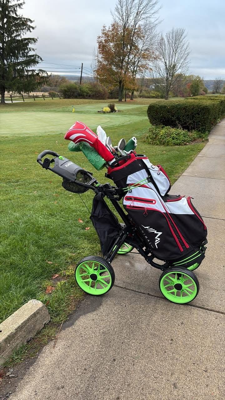 FLAGTAG Golf Push Cart 4-Wheels,Folding Golf Cart, Golf Pull cart with Cup Holder,Umbrella Holder,Cooler Bag, Foldable with one-Click,Handle Height Adjustable,Drink Holder,Walking Push cart customer photo 1