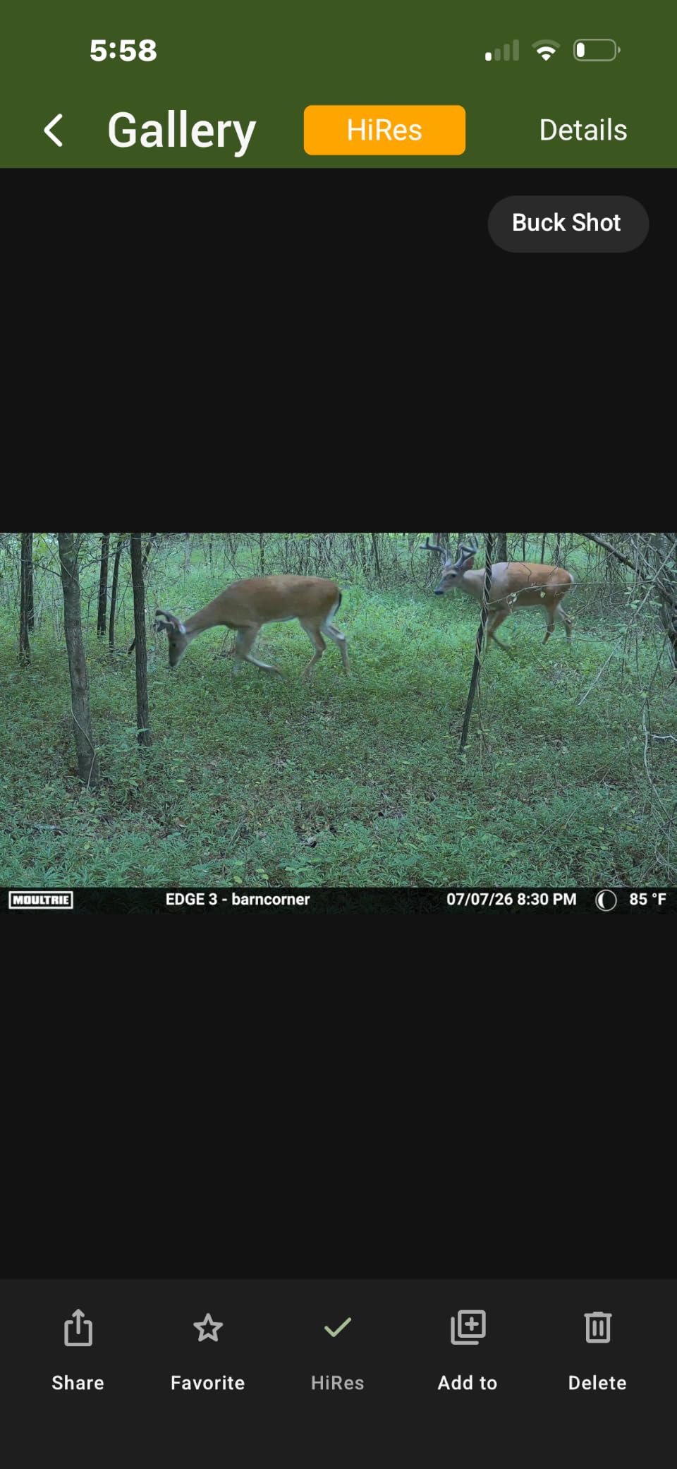 Moultrie Edge 3 Cellular Trail Camera - 2-Pack, 40MP, 0.5s Trigger customer photo 1