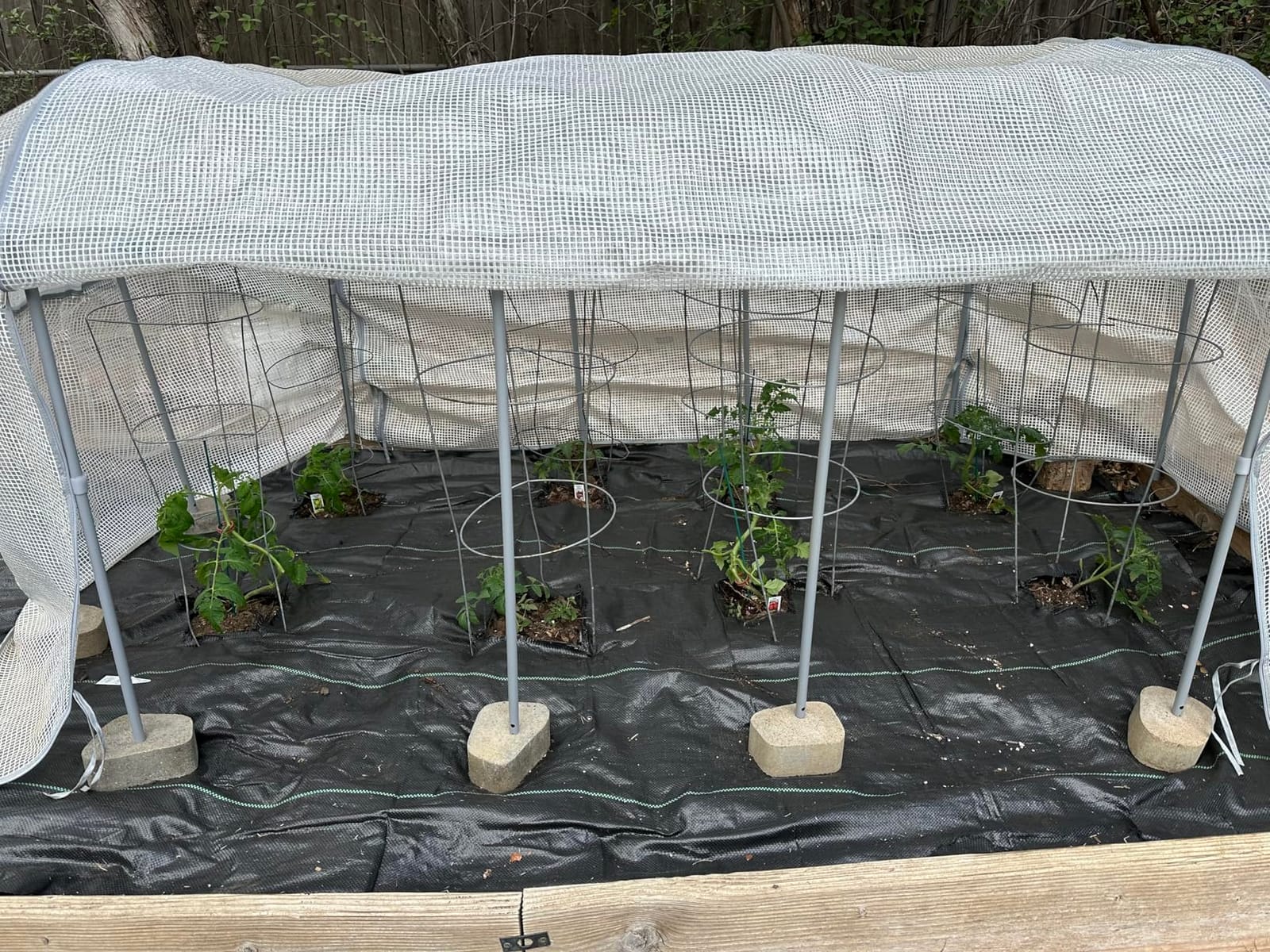 Vego garden Frost Greenhouse Cover System for 3.5' x 5.0' Garden Bed customer photo 2
