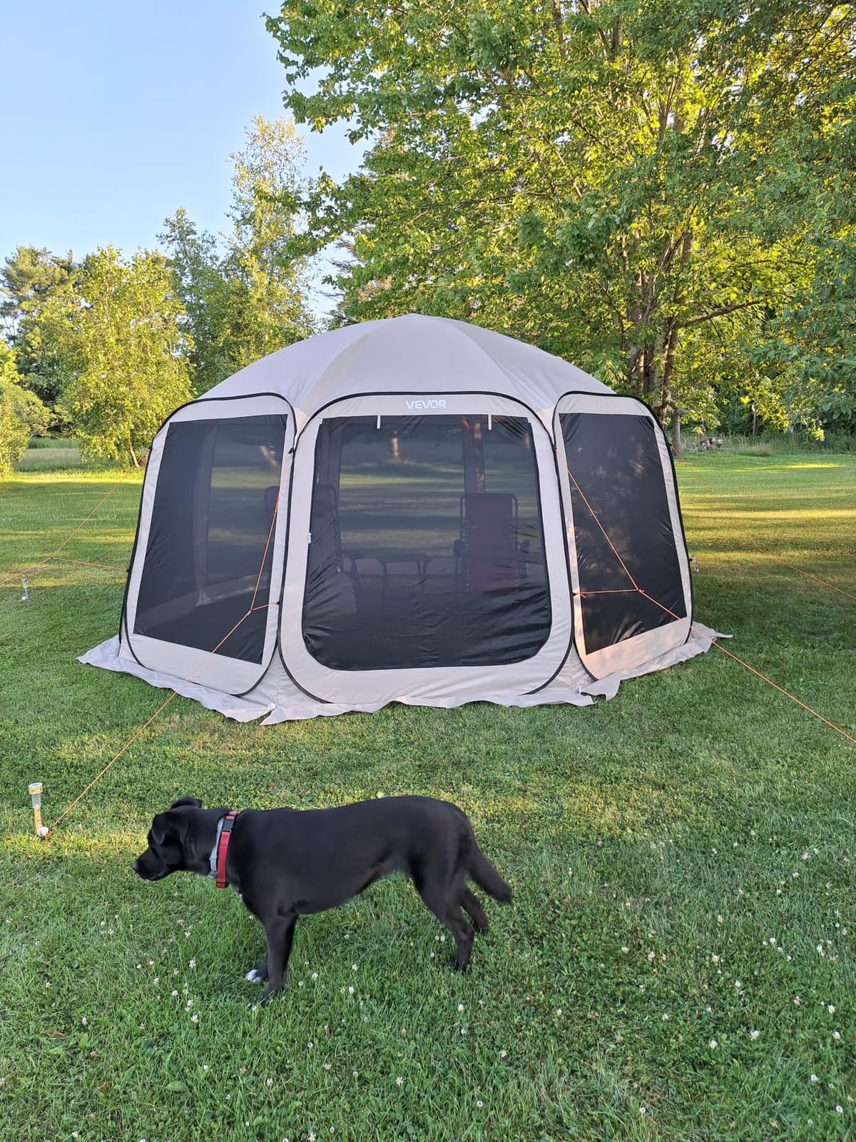 VEVOR SUV Tailgate Tent, 6 x 6 ft Pop-Up Screen House Canopy for 4–6 Person, Portable Screened Shelter with Carry Bag, for Car Camping, Backyard, Patio, Outdoor Activities customer photo 1