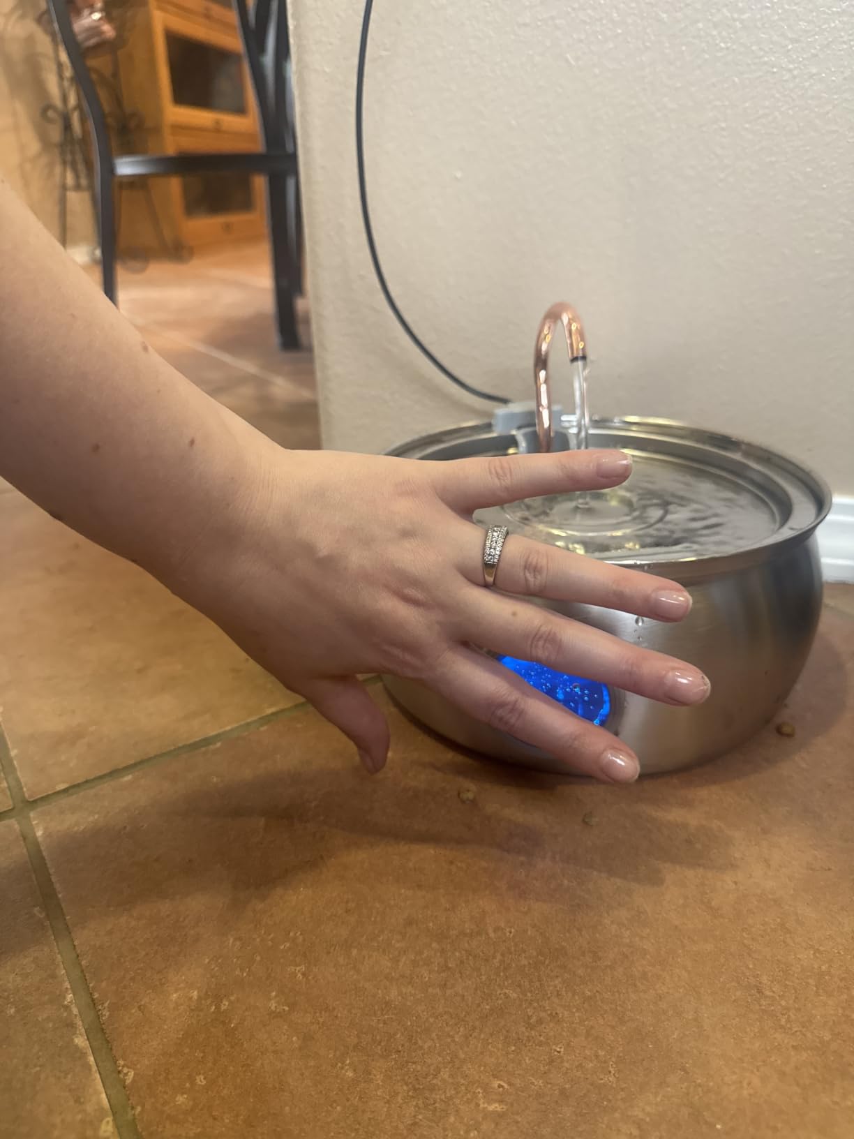 Cat Water Fountain Stainless Steel -135oz/4.0L Cat Fountain for Drinking customer photo 2