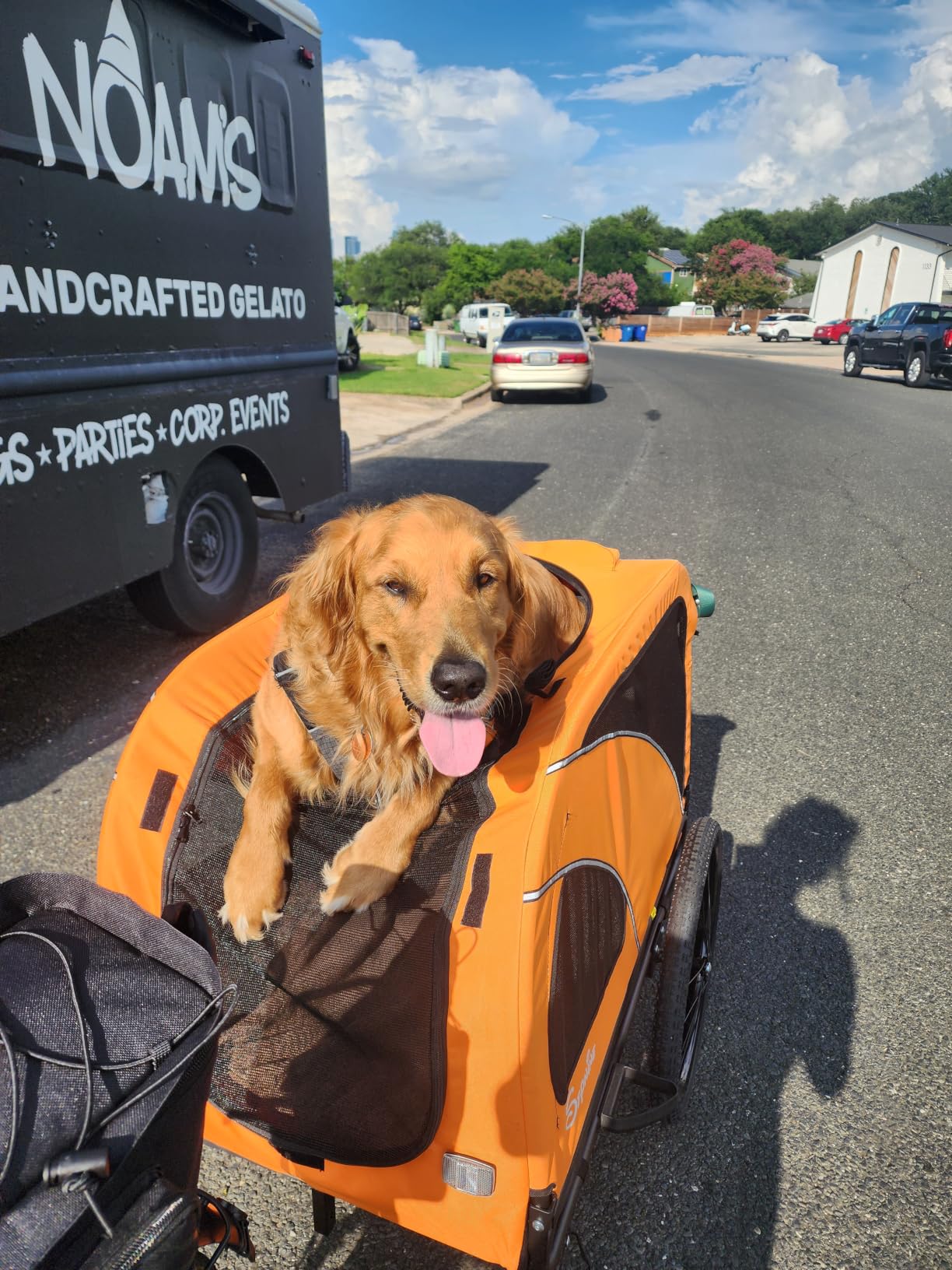 Sepnine Dog Bike Trailer, Supports up to 110 lbs, 2-in-1 Pet Stroller Cart Bicycle Carrier, Easy Folding Cart Frame with Quick Release Wheels, Universal Bicycle Coupler, Non-Slip Floor, Internal Leash customer photo 1