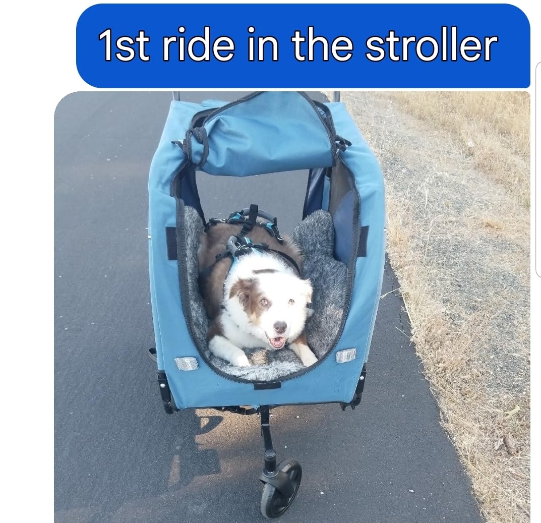 Sepnine Dog Bike Trailer, Supports up to 110 lbs, 2-in-1 Pet Stroller Cart Bicycle Carrier, Easy Folding Cart Frame with Quick Release Wheels, Universal Bicycle Coupler, Non-Slip Floor, Internal Leash customer photo 2