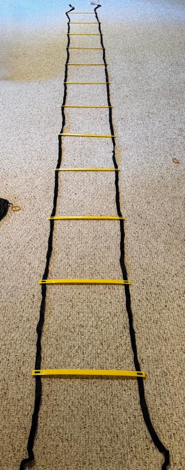20ft Adjustable Agility Speed Ladder Training Ladder with Carry Bag - Soccer, Speed, Football Fitness Feet Training - Agility Training Equipment for Footwork Drills customer photo 2