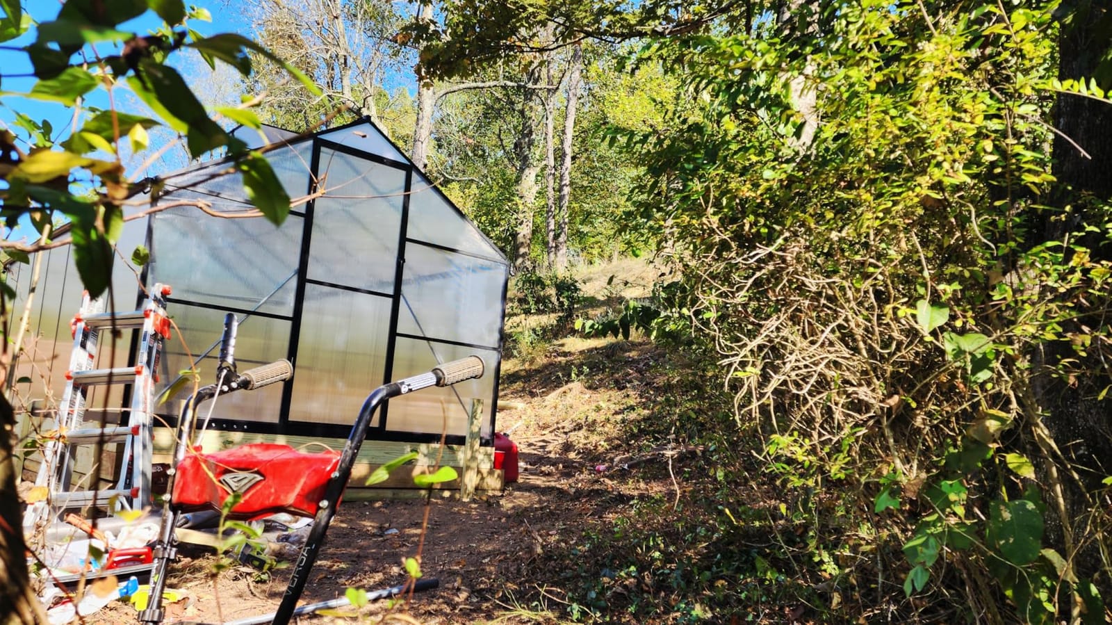 6x10FT Greenhouse with Hygrometer, Windproof Warm Plant Green Houses customer photo 1