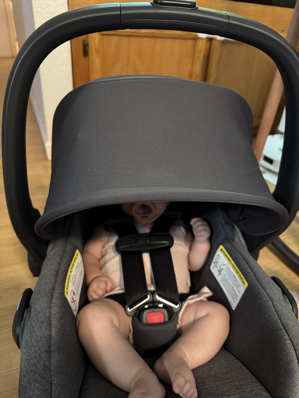 UPPAbaby Mesa V3 Infant Car Seat with Base, Insert & SmartSecure - Ada customer photo 1