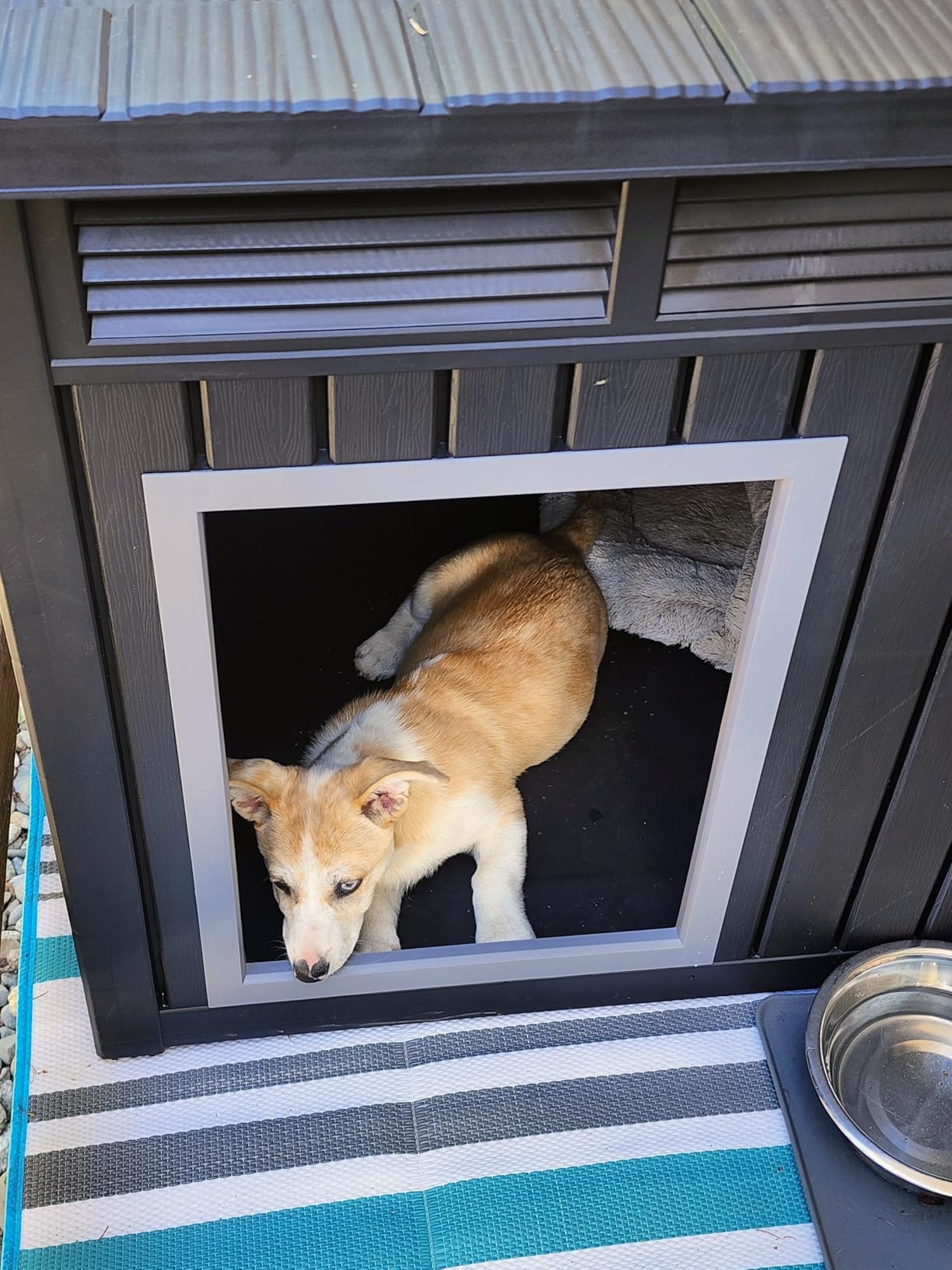 DRATO Indoor & Outdoor Resin Dog House with Raised Floor, Heated Pad and Easy Assembly - Small Breed Shelter Featuring Louvered Vents, Spiked Legs, and Sloped Roof,Black customer photo 1