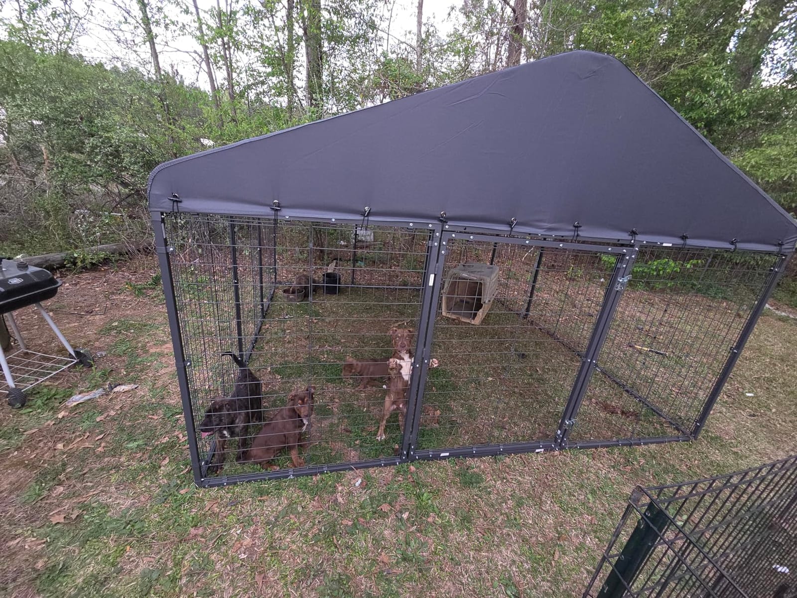 10x10x6 FT Large Dog Kennel Outdoor, Heavy Duty Dog Run with Waterproof Roof, Anti-Rust Galvanized Steel Dog Cage with Feeding Door, Dog Pen Enclosure with Double Locks for Outside customer photo 2