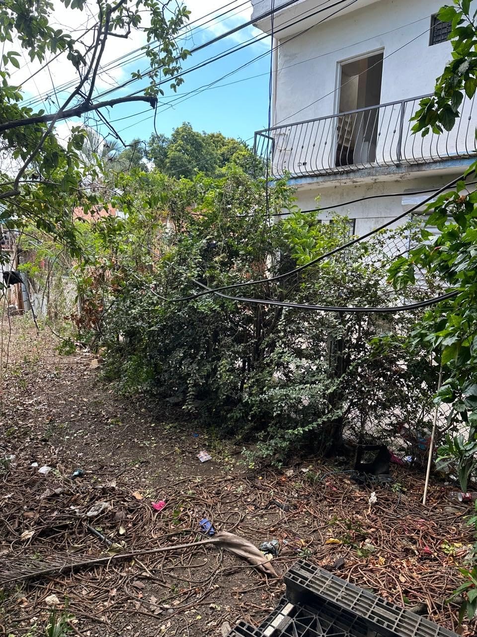 SEESII 2-in-1 Electric Pole Saws for Tree Trimming, Brushless Motor customer photo 2