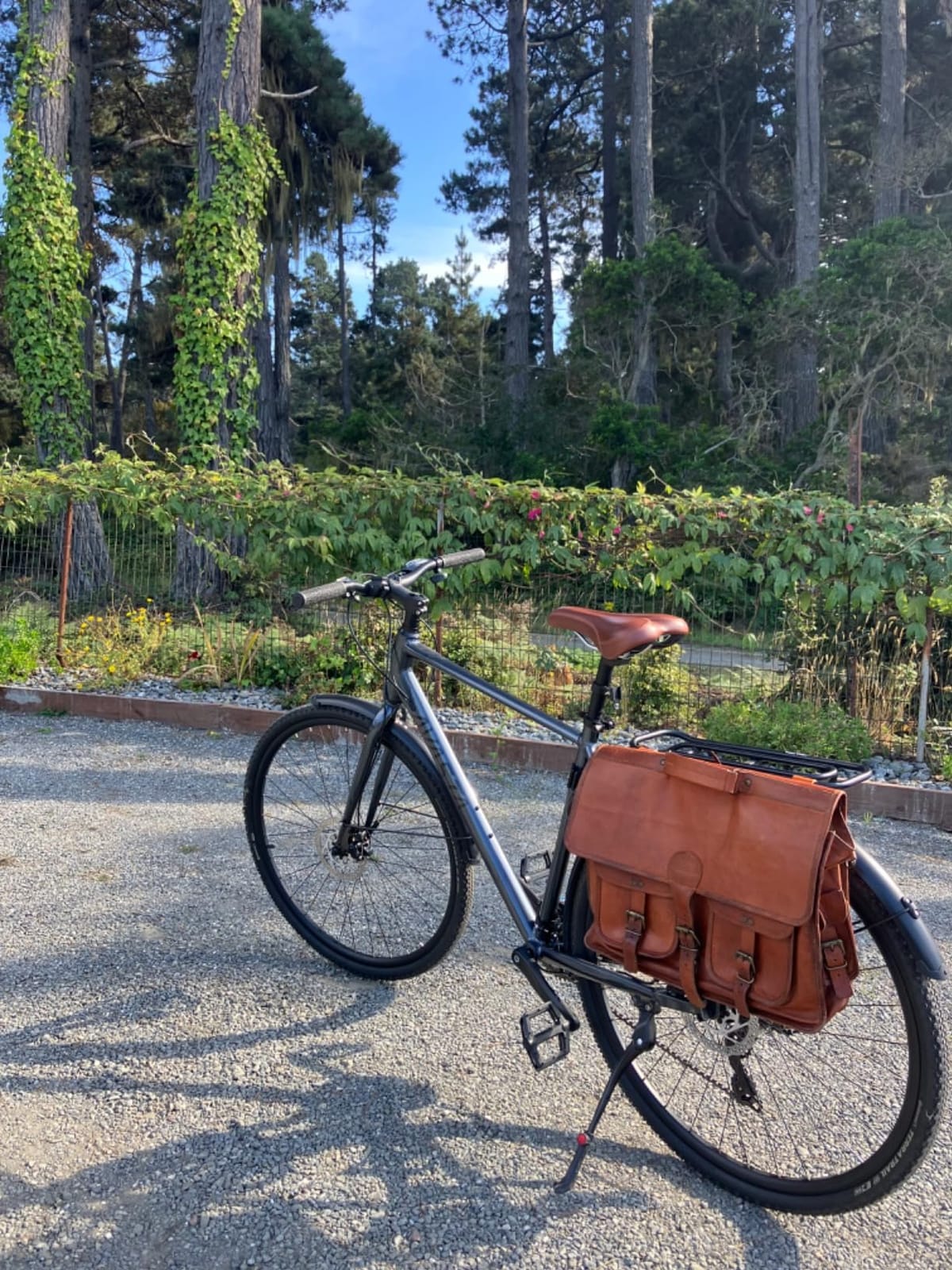 AVASTA Jupiter 17 19 Inch Frame Road Adult Hybrid Cycling Bike Bicycle customer photo 2