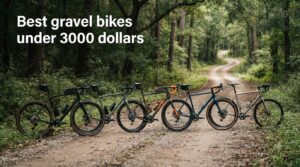 Best gravel bikes under 3000 dollars