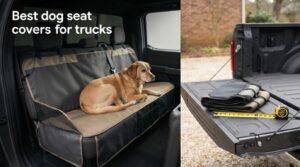 Best dog seat covers for trucks