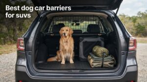 Best dog car barriers for suvs