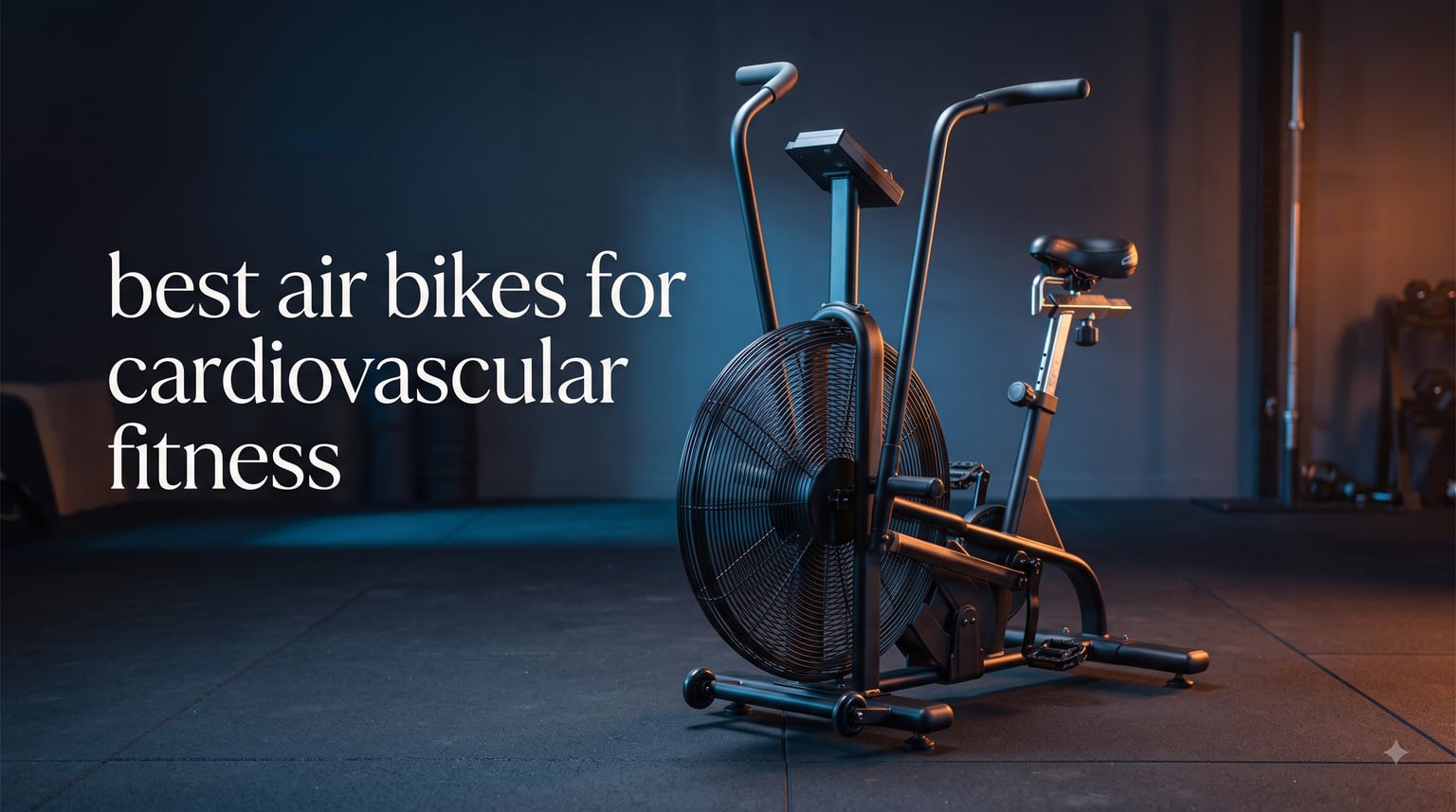 best air bikes for cardiovascular fitness