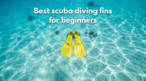 Best scuba diving fins for beginners
