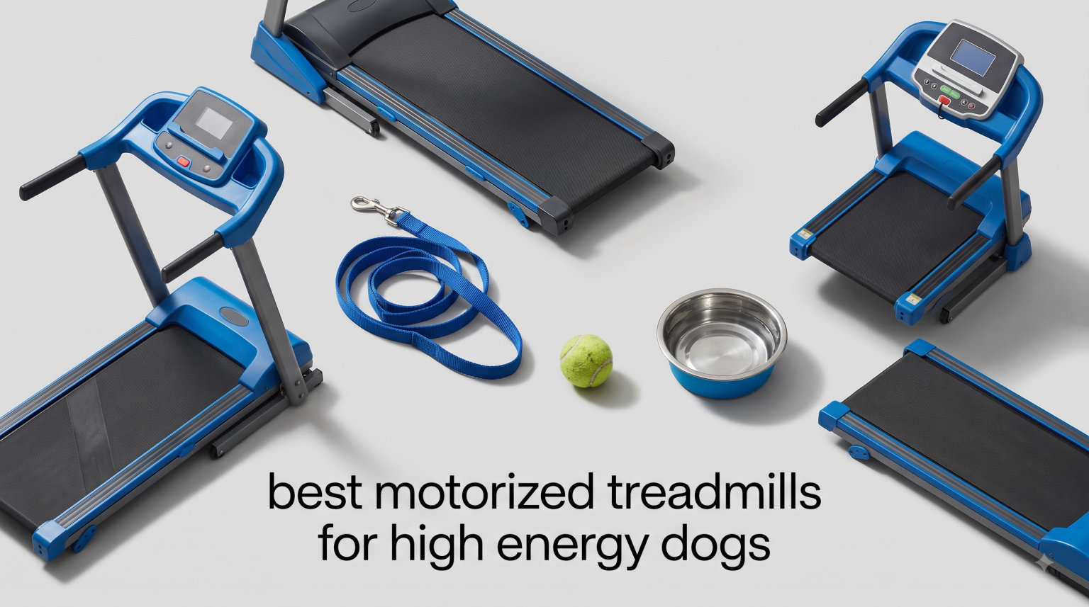 best motorized treadmills for high energy dogs