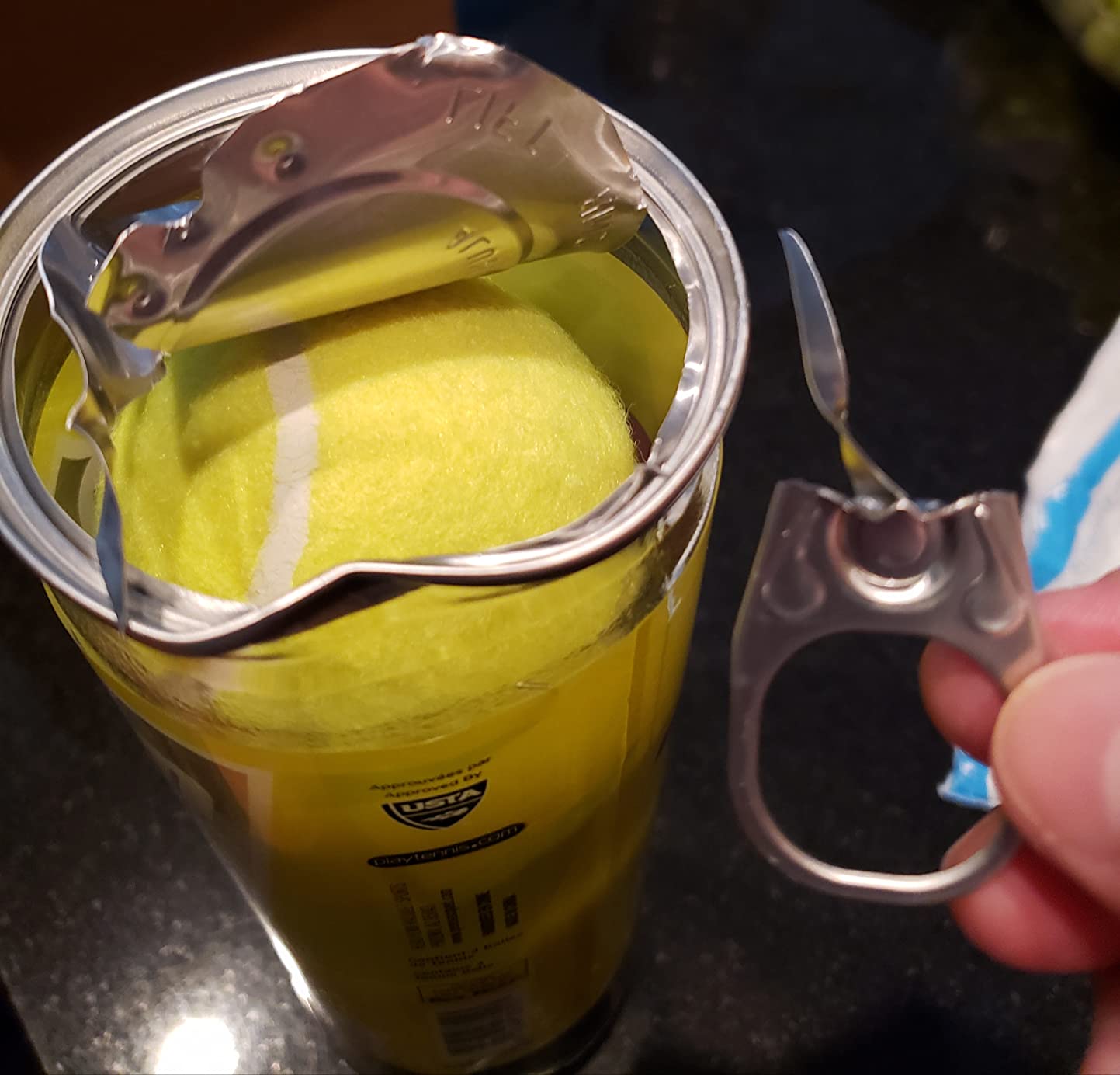 Penn Court 1 Recreational Tennis Balls - Regular Duty Felt Pressurized Tennis Balls - 1 Can, 3 Balls customer photo 1