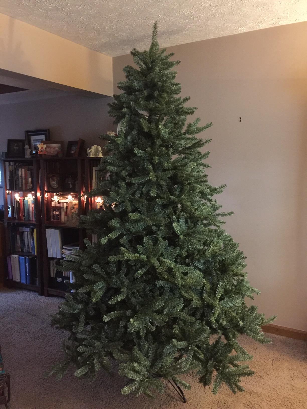 Balsam Hill 6.5ft Unlit Classic Blue Spruce - Artificial Christmas Tree with 2,144+ Tips, Premium Stand & Easy Assembly for Indoor Holiday Decorating customer photo 1