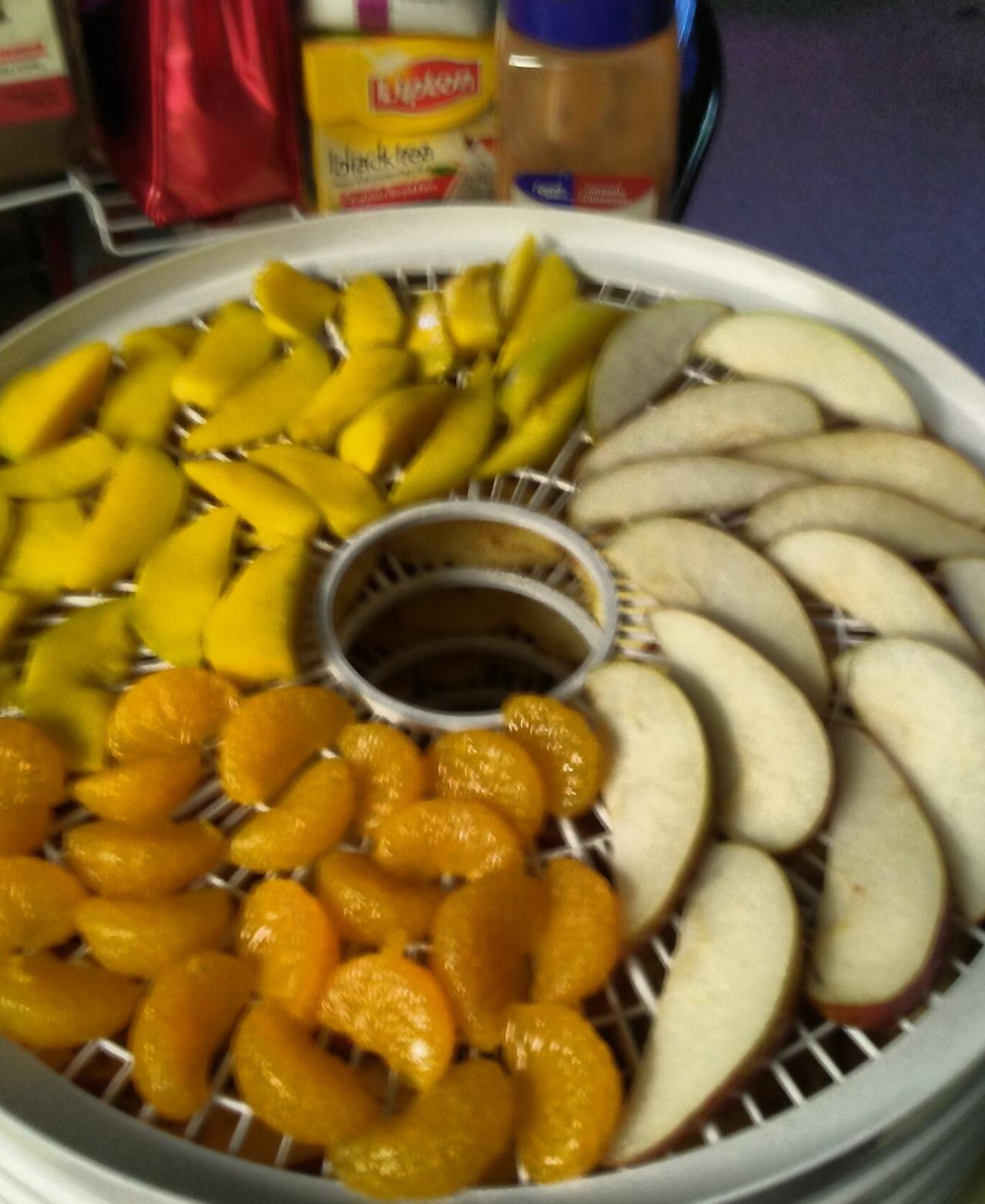 NESCO FD-37 Food Dehydrator, For Snacks, Fruit, Beef Jerky,White/Clear, 4 Trays customer photo 2