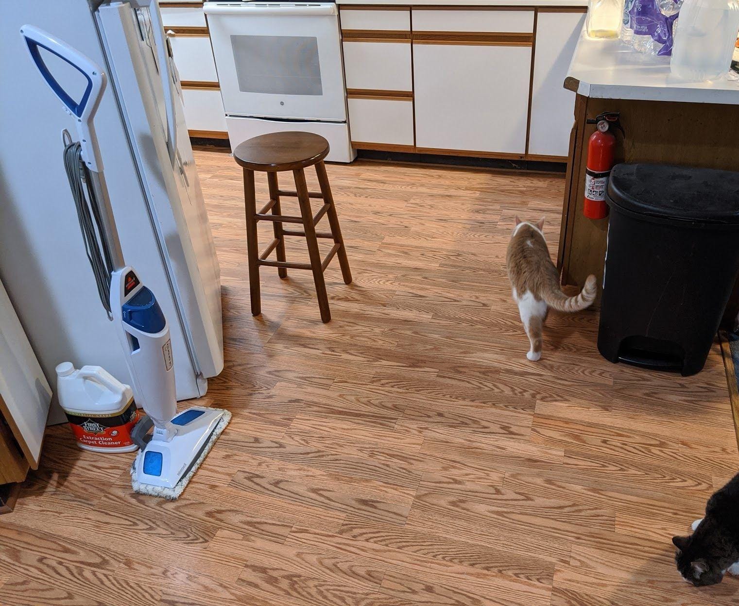 BISSELL PowerFresh Steam Mop customer photo 2
