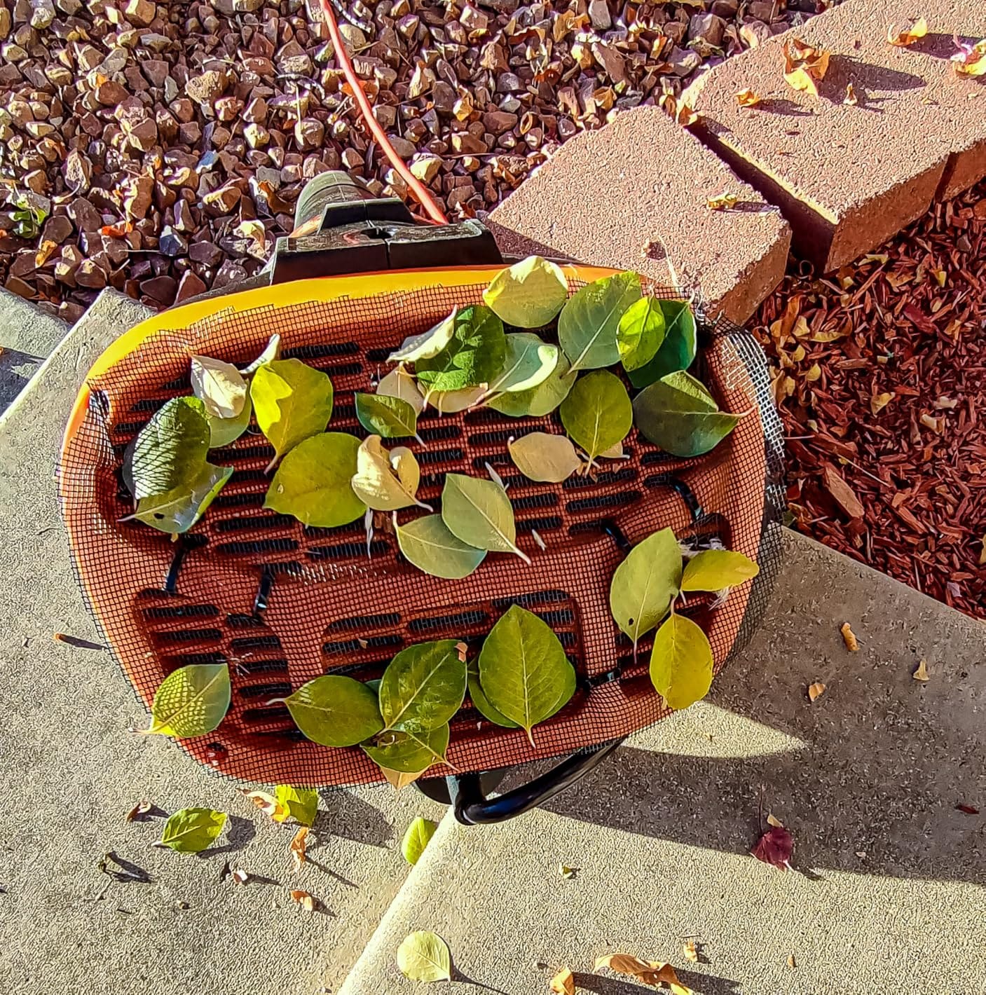 WORX 12 Amp Turbine Electric Leaf Blower for Daily Leaf Removal, WG520 customer photo 1