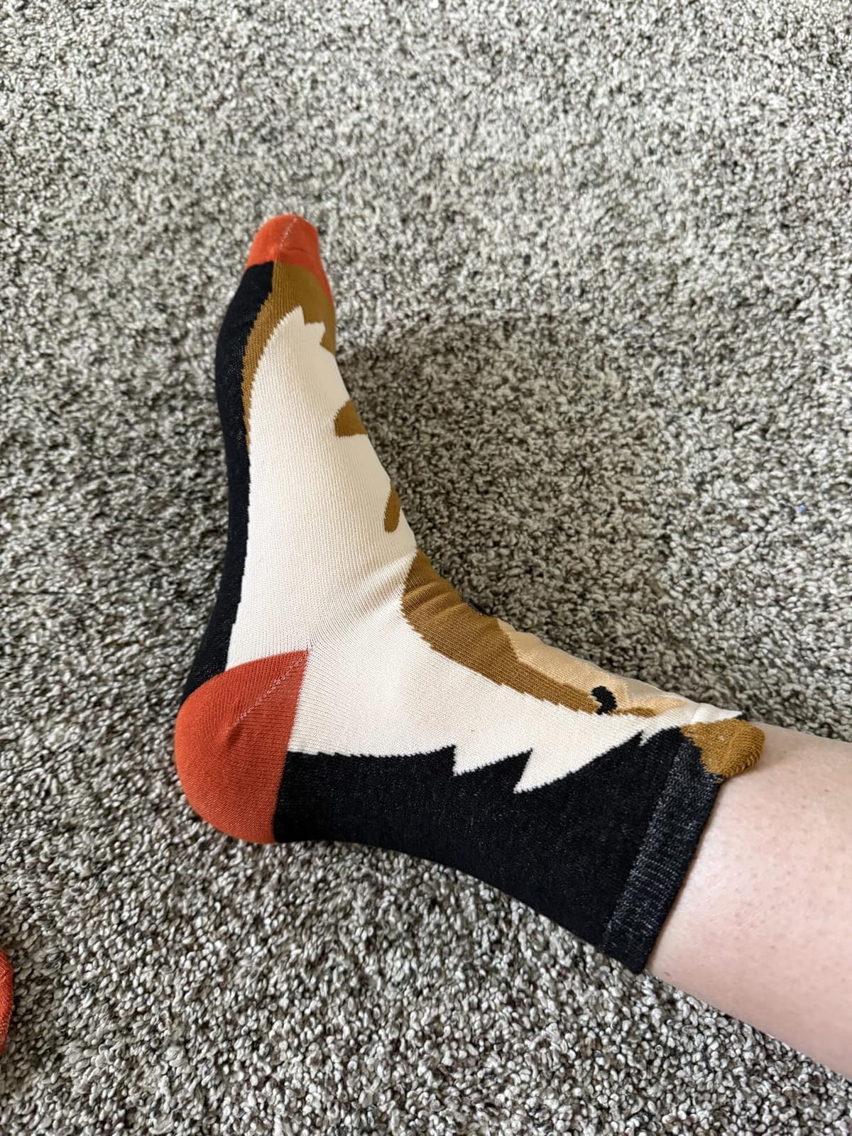 Jeasona Women’s Cute Cat Animal Socks Gifts for Women Wife Mom customer photo 2