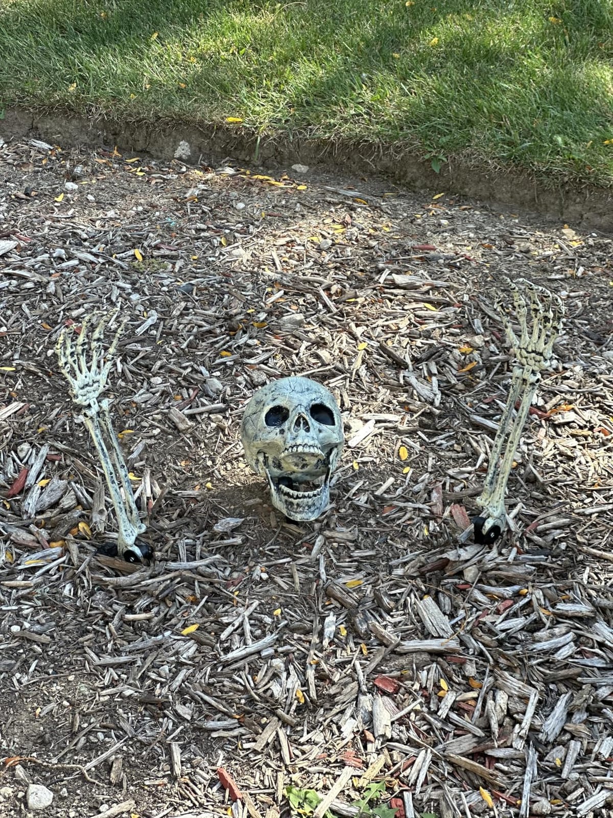 AISENO Realistic Skeleton Stakes Halloween Decorations for Lawn Stakes Garden Halloween Skeleton Decoration Outdoor customer photo 2