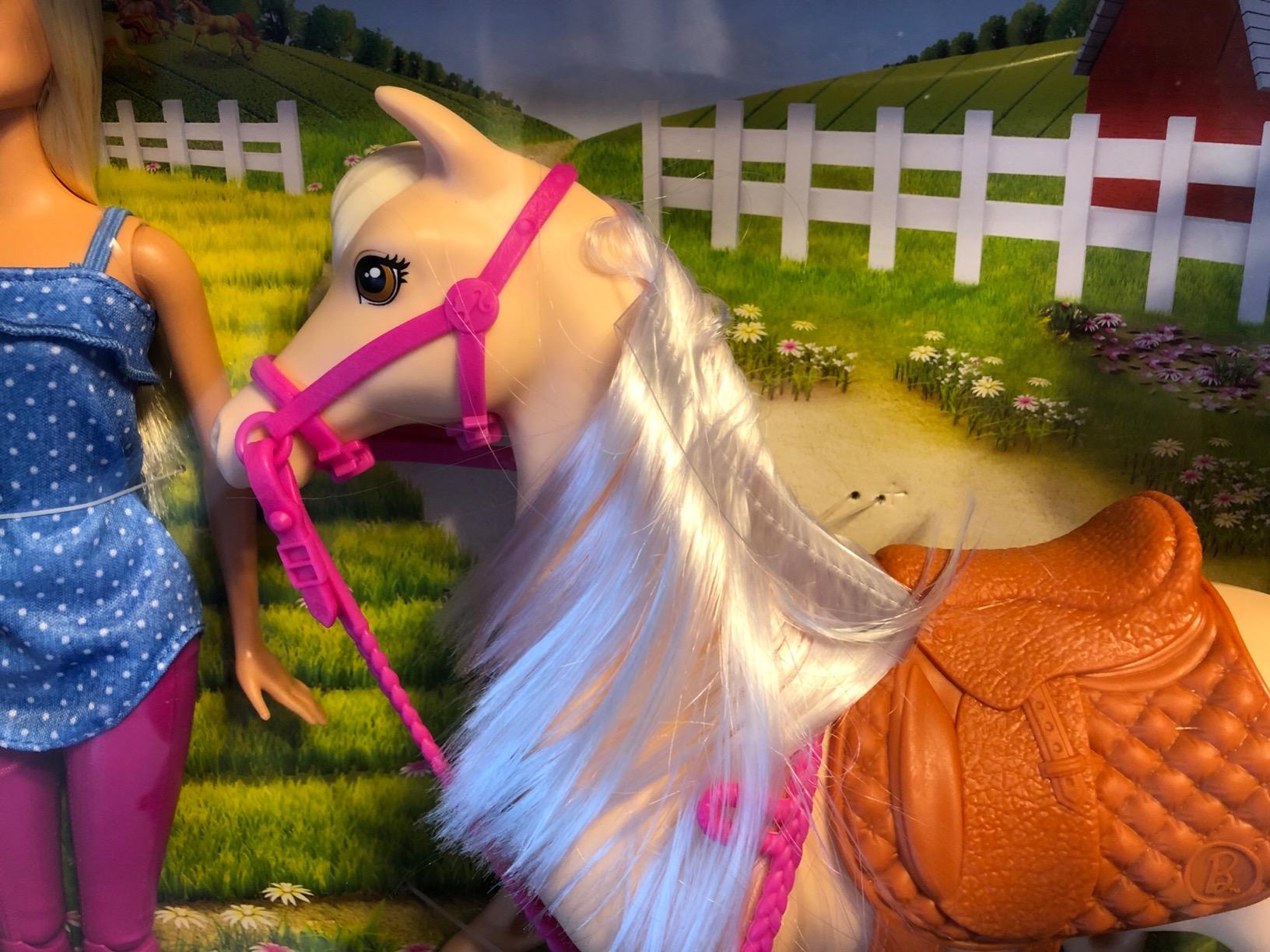 Barbie Horse Riding Set customer photo 2