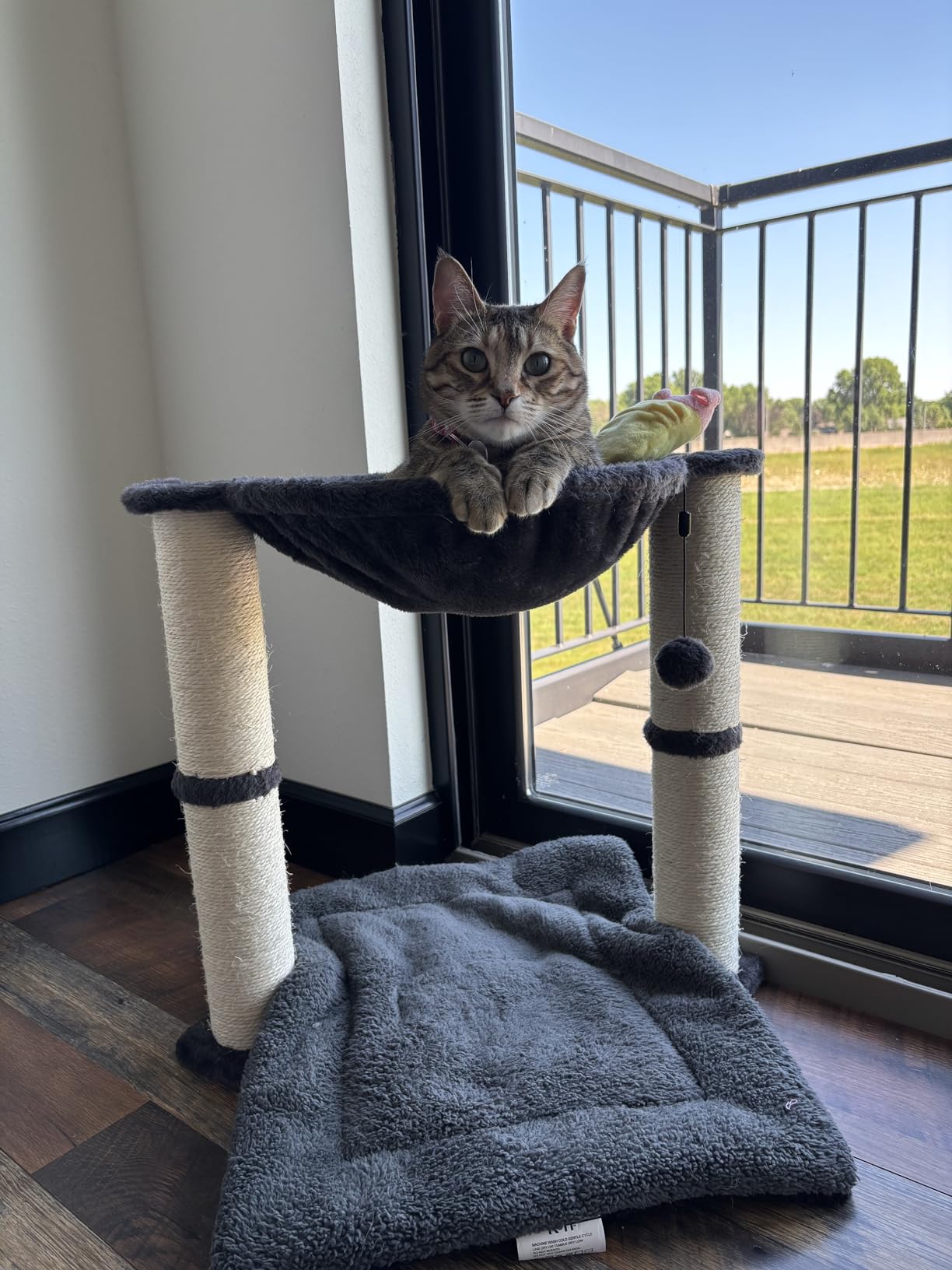 Amazon Basics Sturdy Cat Condo Tower with Hammock Bed and Scratching Posts, Interactive Hanging Ball Toy for Indoor Cats, 15.8