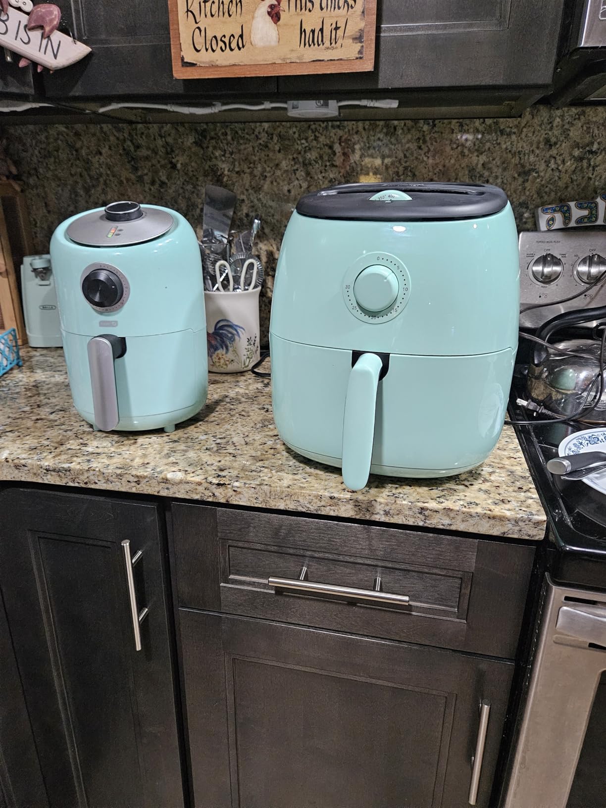 Dash Tasti-Crisp Air Fryer, 2.6 Quart, Aqua customer photo 2