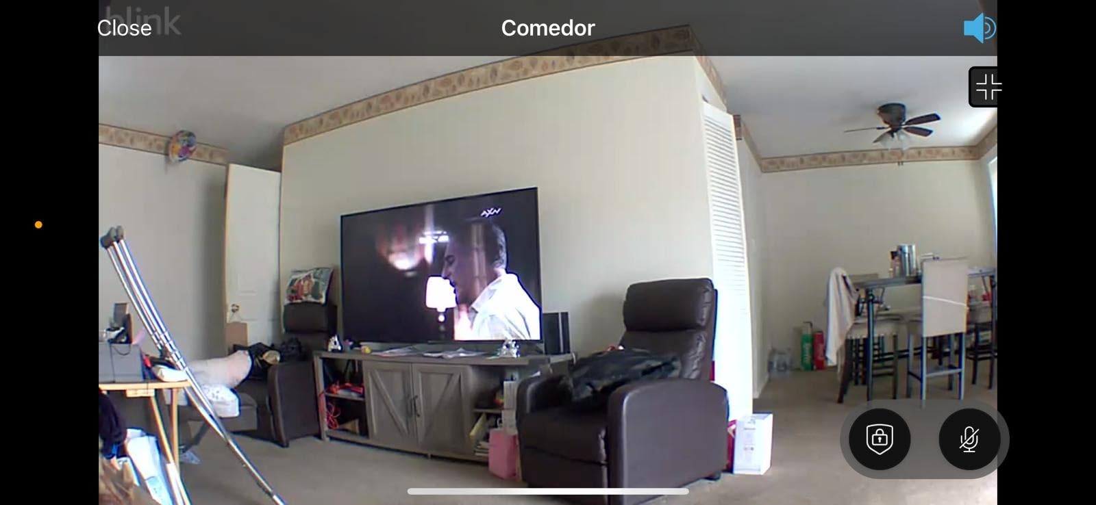 Blink Add-On Sync Module 2 customer photo 2