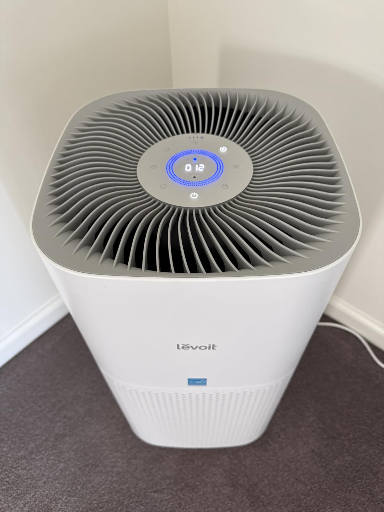 Levoit Core 600S-P customer photo 2