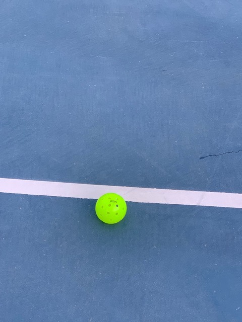 A11N S40 Outdoor Pickleball Balls- USA Pickleball Approved for Tournament Play, 3/6/12/50-Pack, Neon Green/Fuchsia/Tangerine customer photo 2