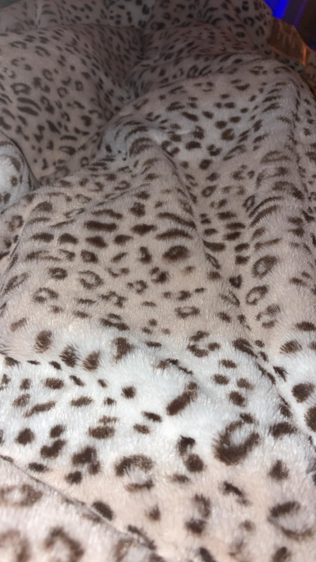 Westinghouse 50x60 Heated Throw customer photo 1