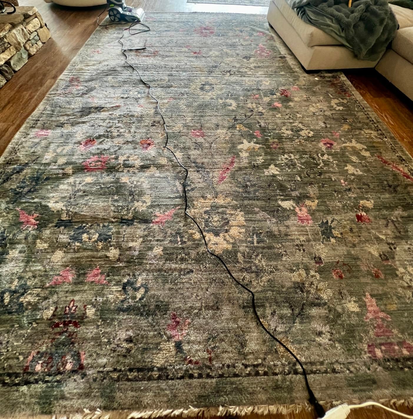 BISSELL ProHeat 2X Revolution Pet Pro Plus Carpet Cleaner, 3588F customer photo 2