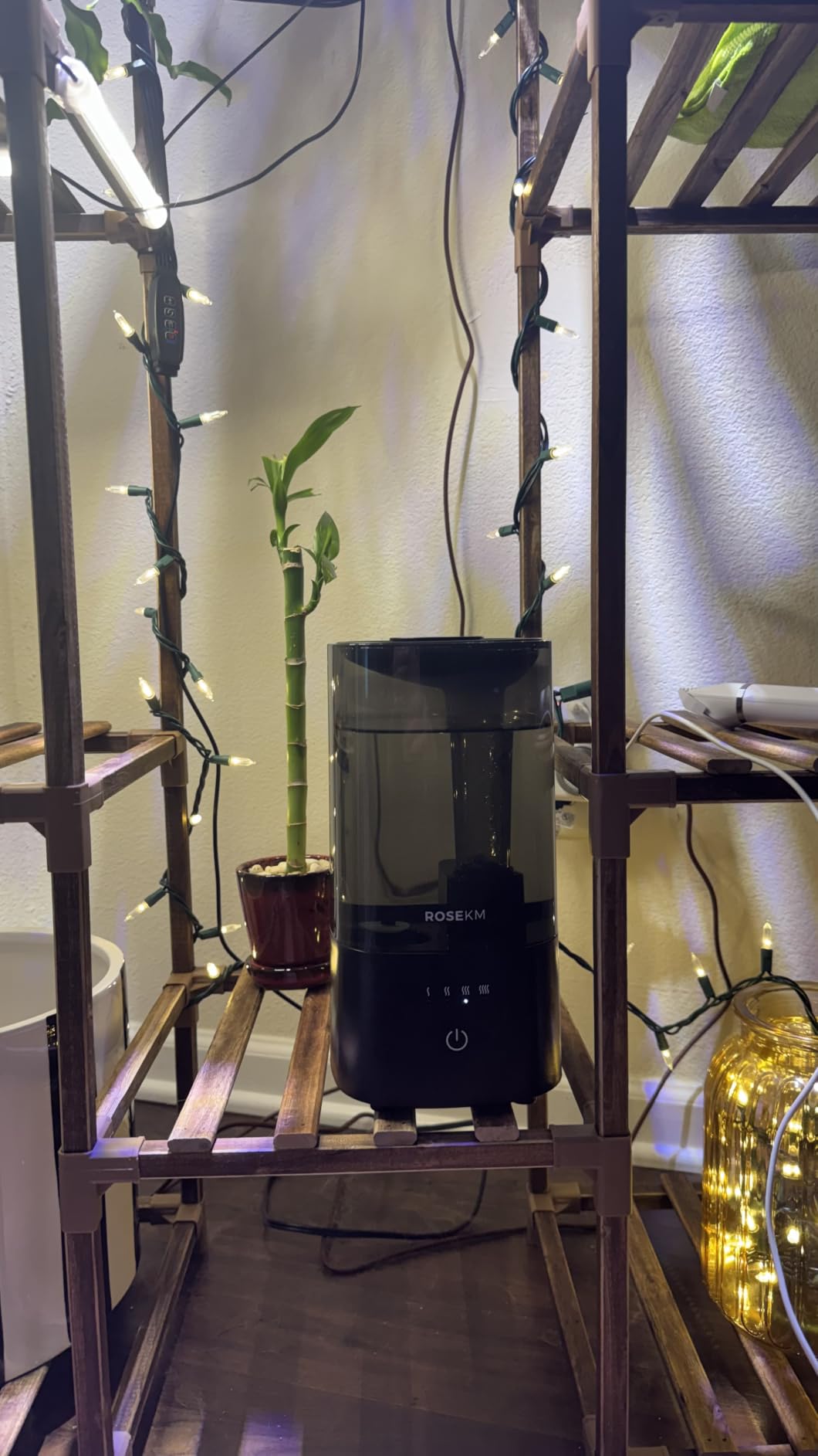 ROSEKM 2L Cool Mist Humidifier for Bedroom and Plants, Quiet, Black customer photo 1