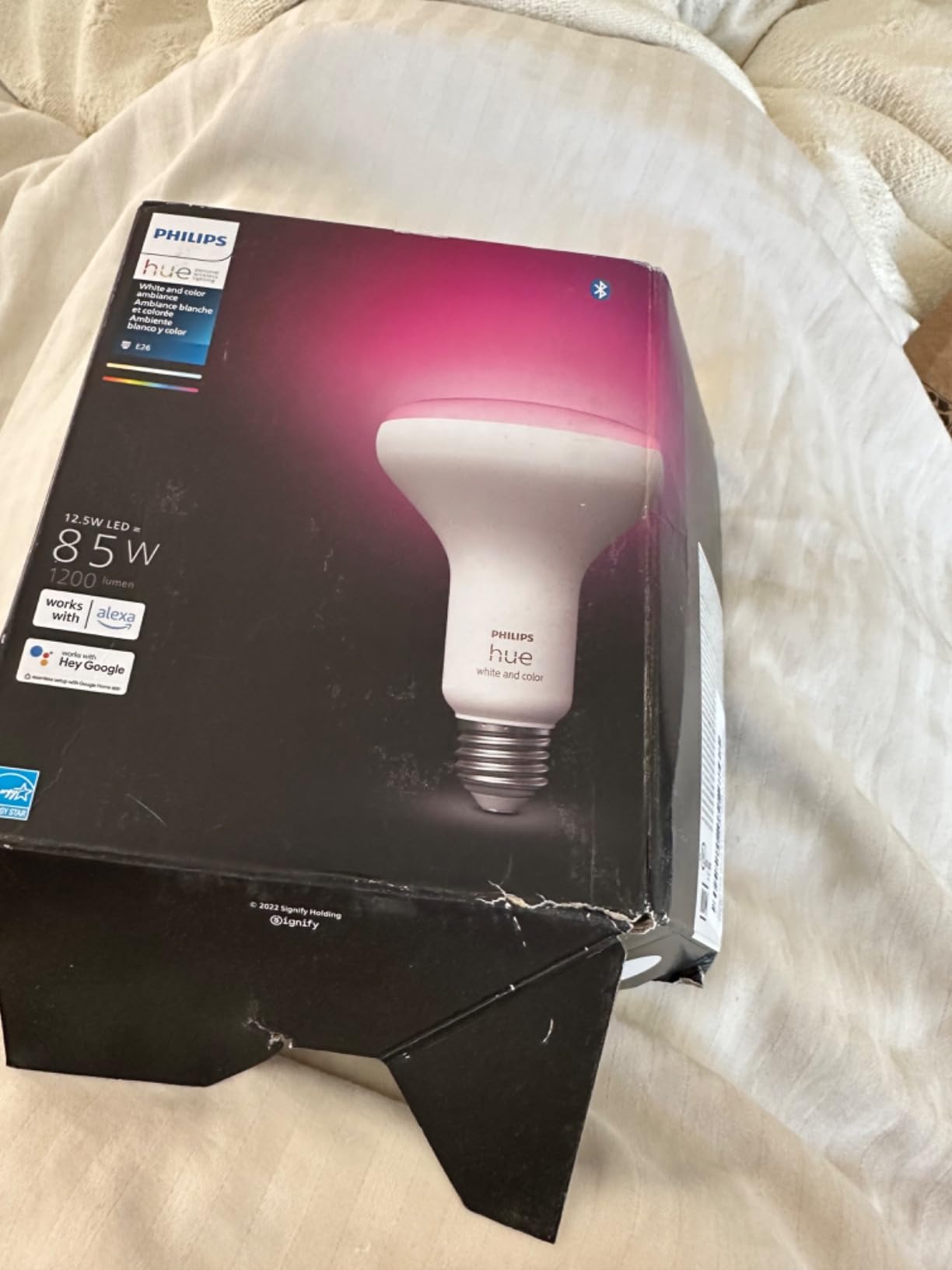 Hue BR30 2-Pack customer photo 1