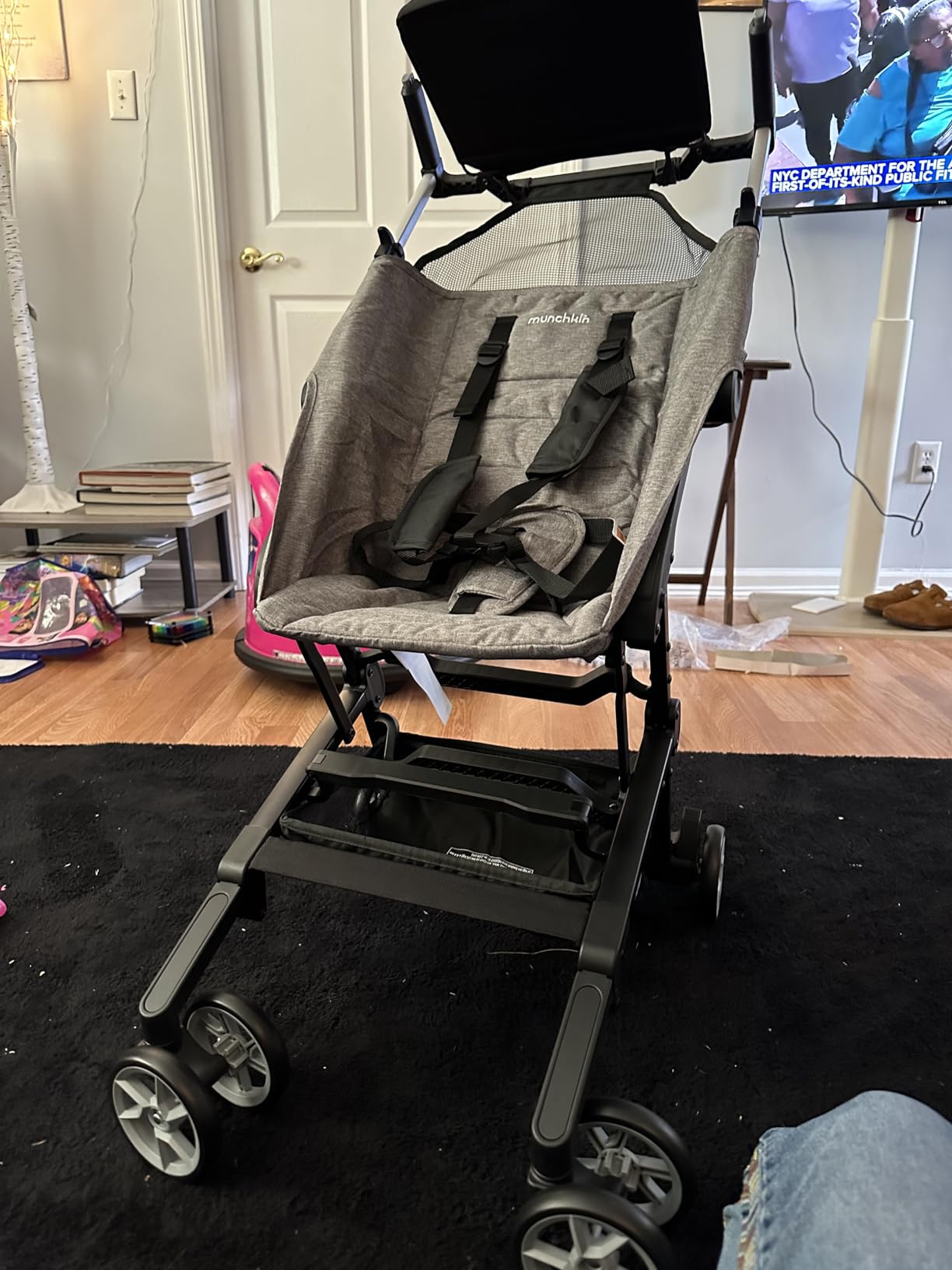 Munchkin Sparrow customer photo 1