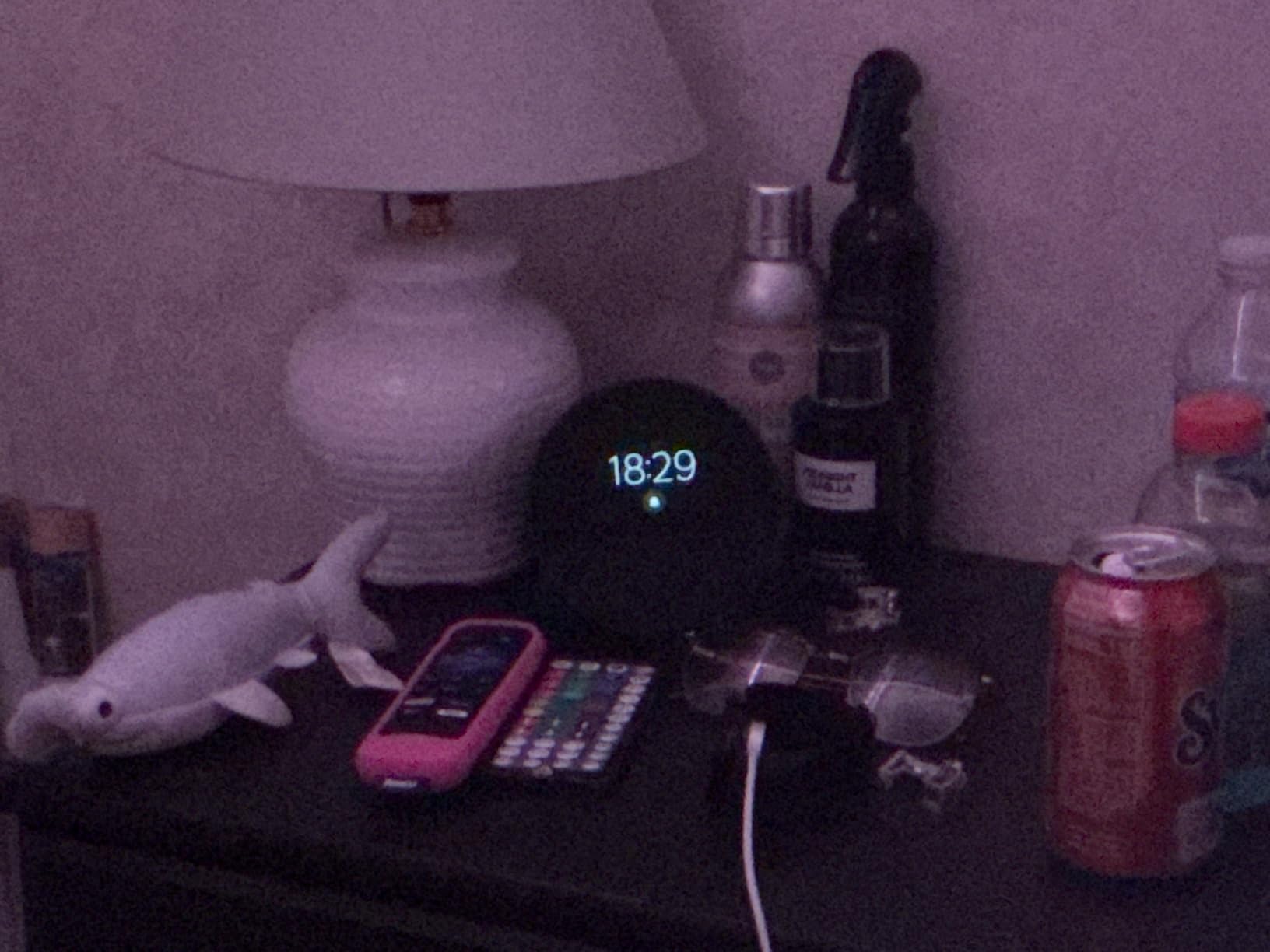 Amazon Echo Spot customer photo 1