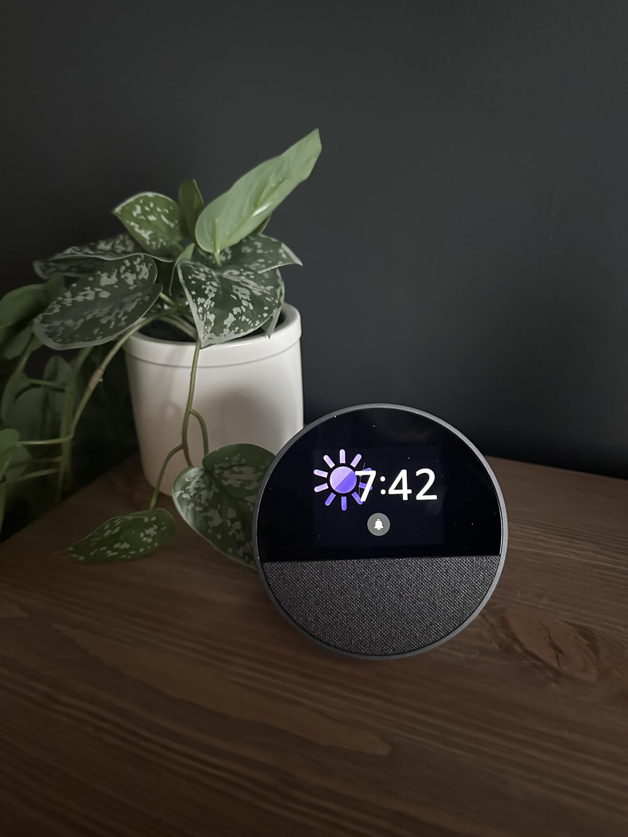 Amazon Echo Spot customer photo 2