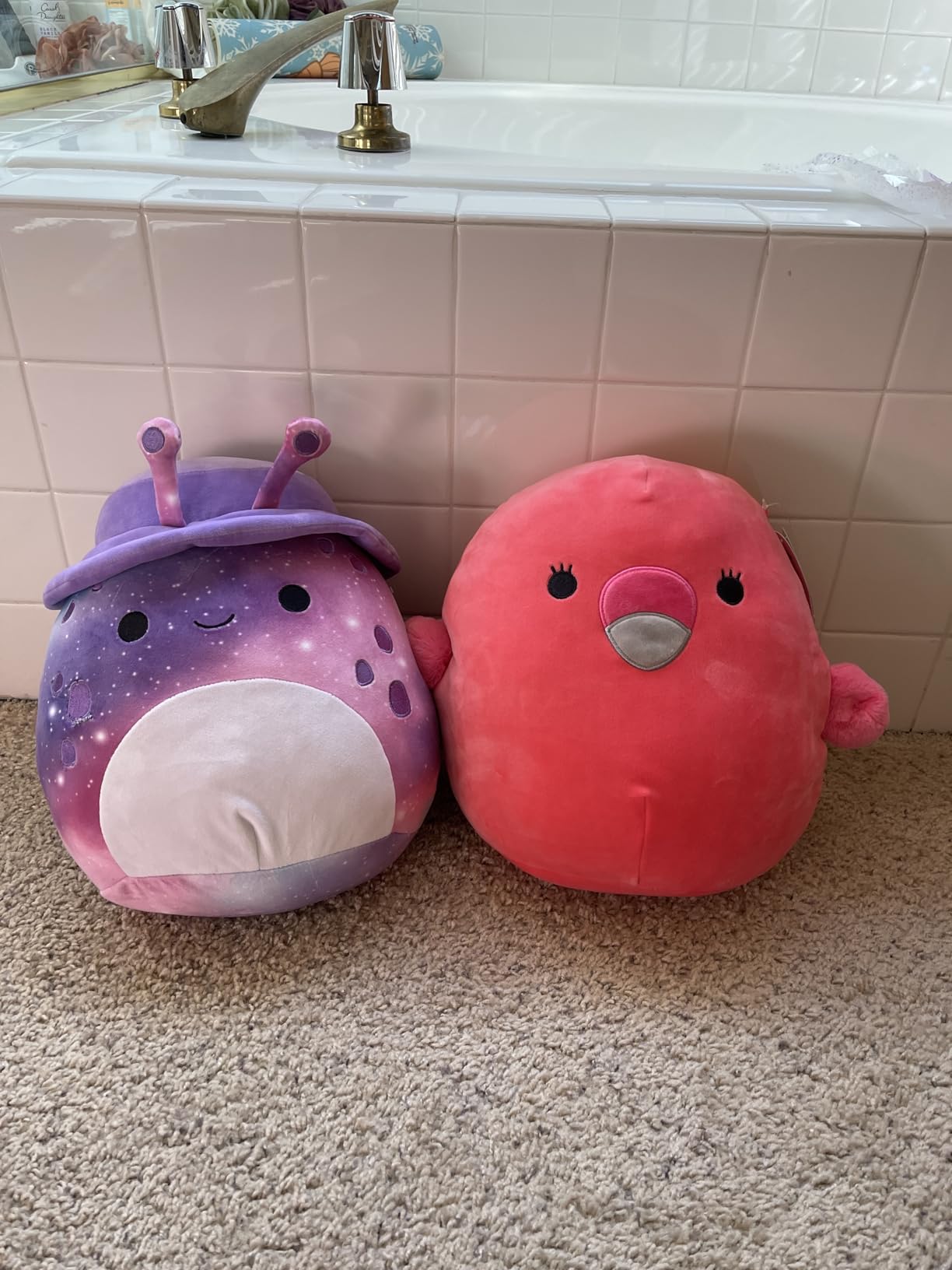 Danny Dino 12-Inch customer photo 1