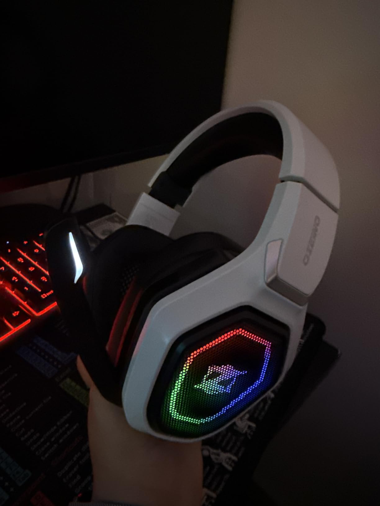 Ozeino Dual Transmitter customer photo 1